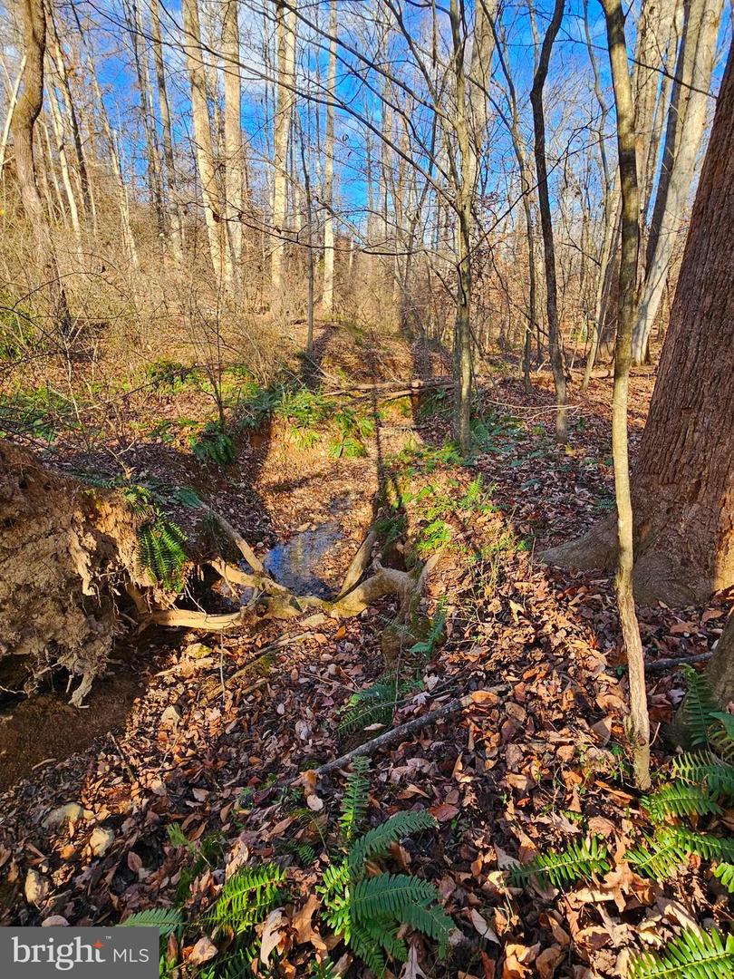 WAUGH RD, UNIONVILLE, Virginia 22567, ,Land,For Sale,WAUGH RD,VAOR2009602 MLS # VAOR2009602