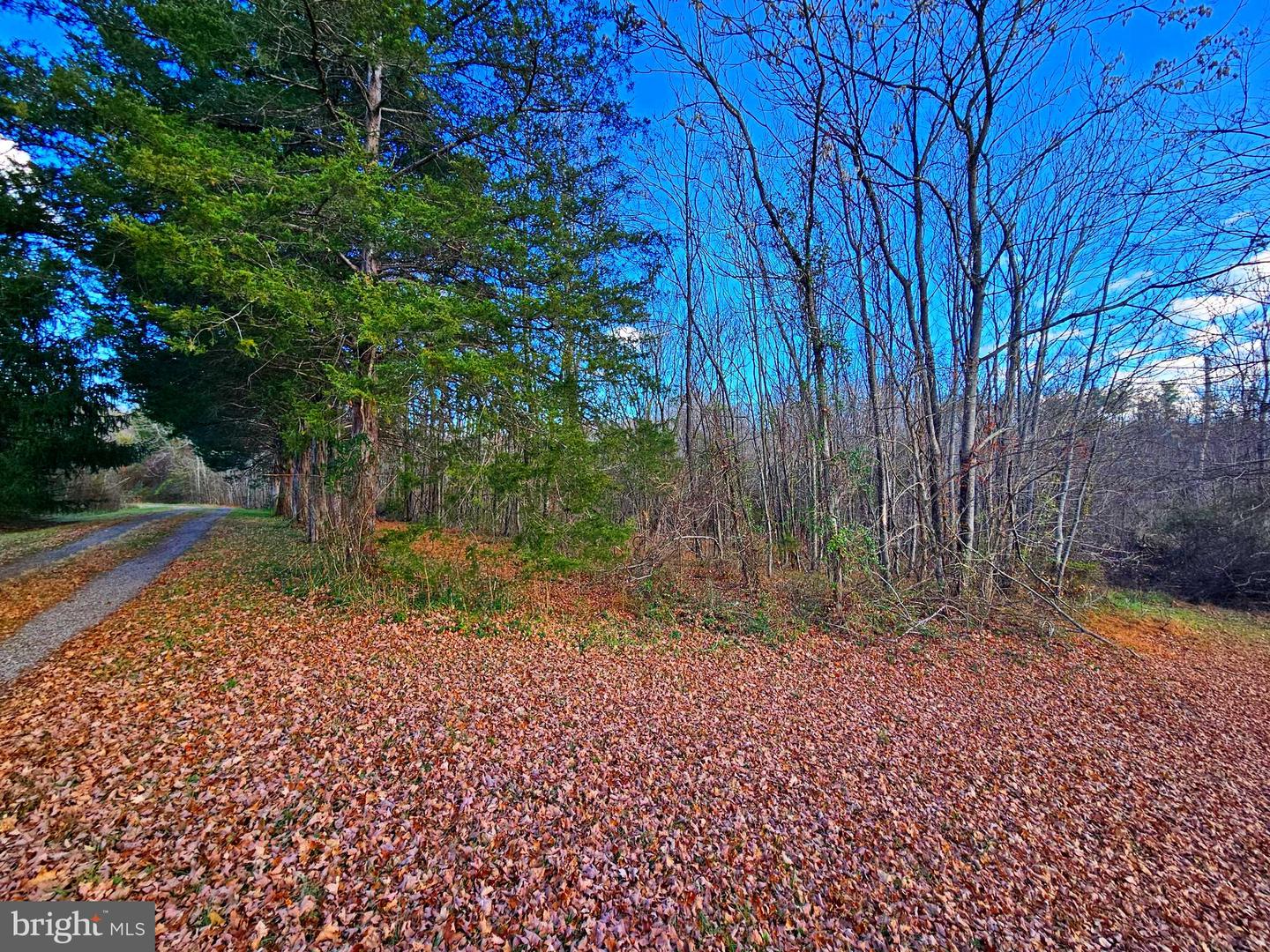 WAUGH RD, UNIONVILLE, Virginia 22567, ,Land,For Sale,WAUGH RD,VAOR2009602 MLS # VAOR2009602