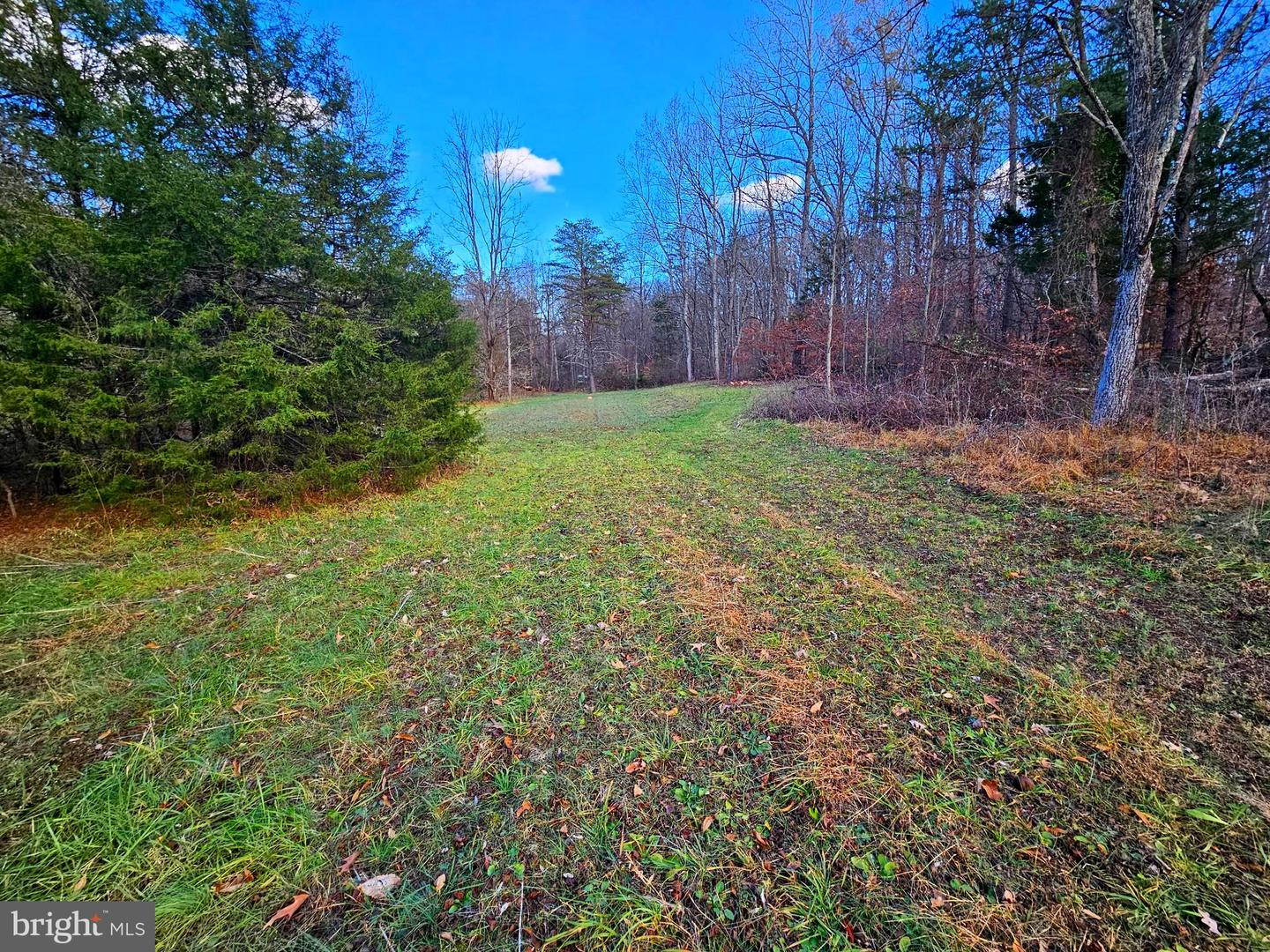 WAUGH RD, UNIONVILLE, Virginia 22567, ,Land,For Sale,WAUGH RD,VAOR2009602 MLS # VAOR2009602