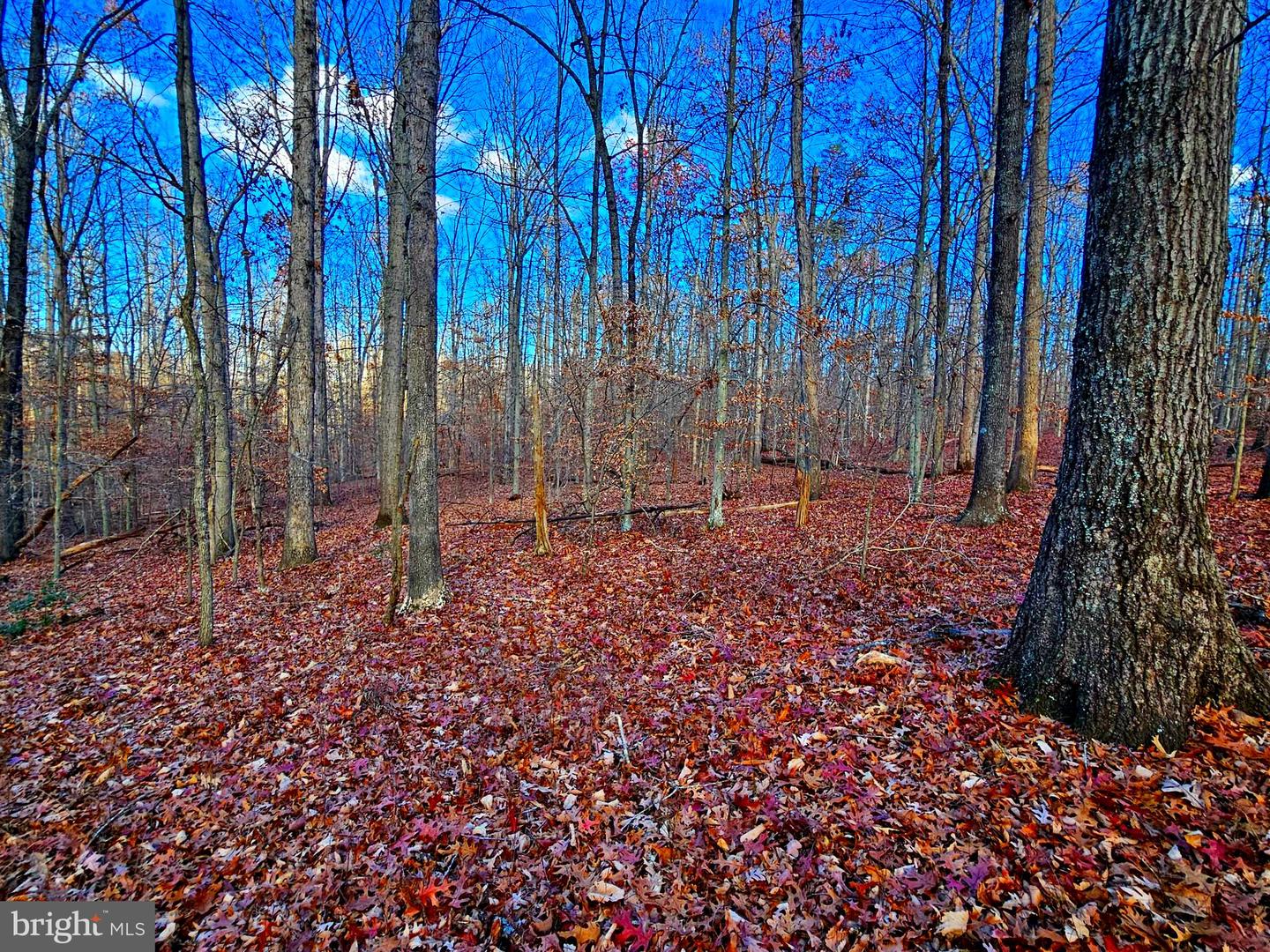 WAUGH RD, UNIONVILLE, Virginia 22567, ,Land,For Sale,WAUGH RD,VAOR2009602 MLS # VAOR2009602