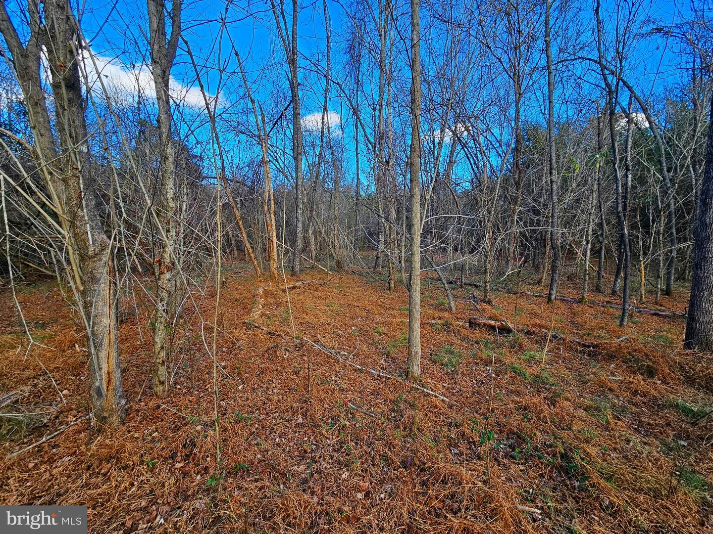 WAUGH RD, UNIONVILLE, Virginia 22567, ,Land,For Sale,WAUGH RD,VAOR2009602 MLS # VAOR2009602