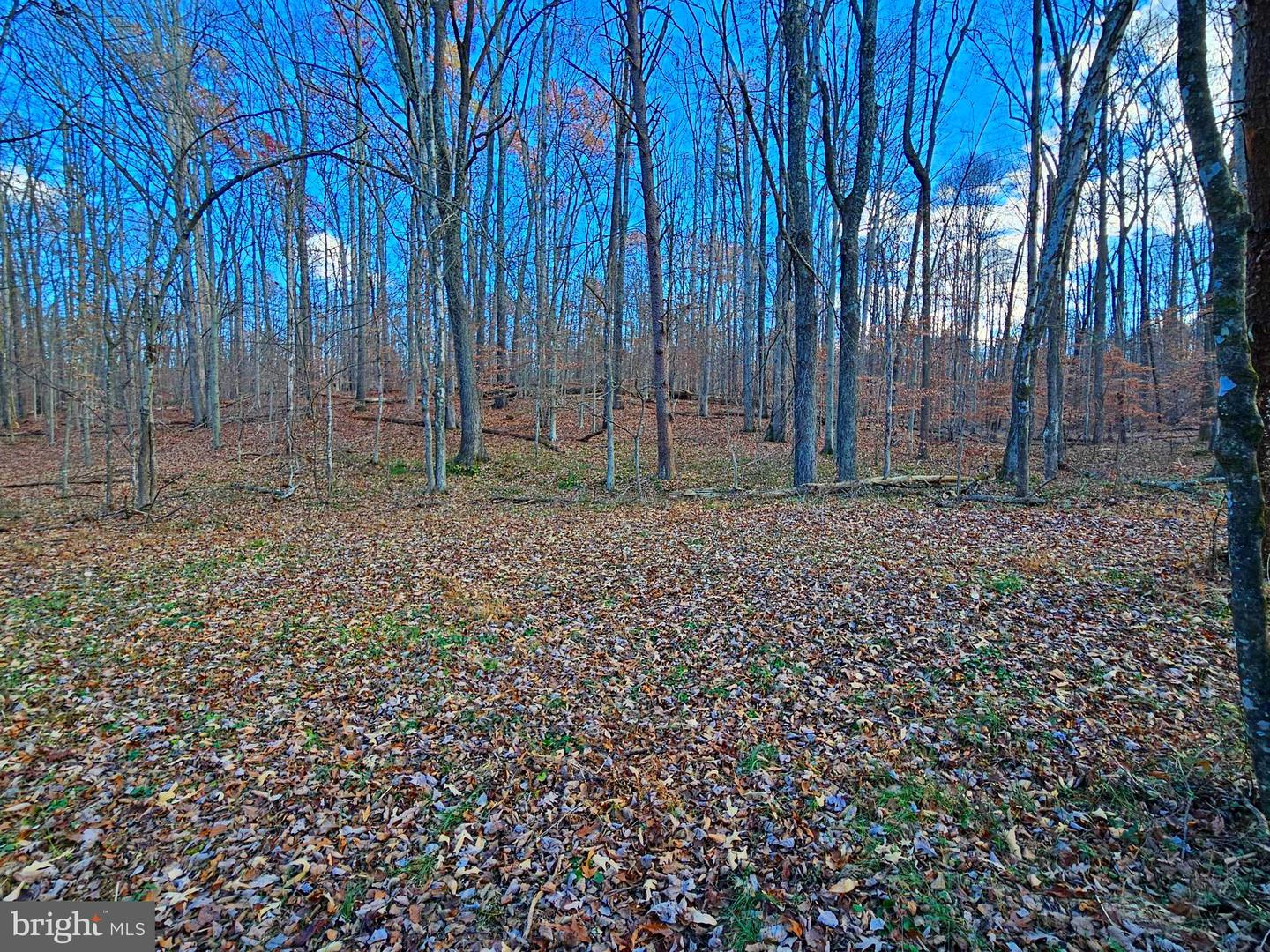 WAUGH RD, UNIONVILLE, Virginia 22567, ,Land,For Sale,WAUGH RD,VAOR2009602 MLS # VAOR2009602