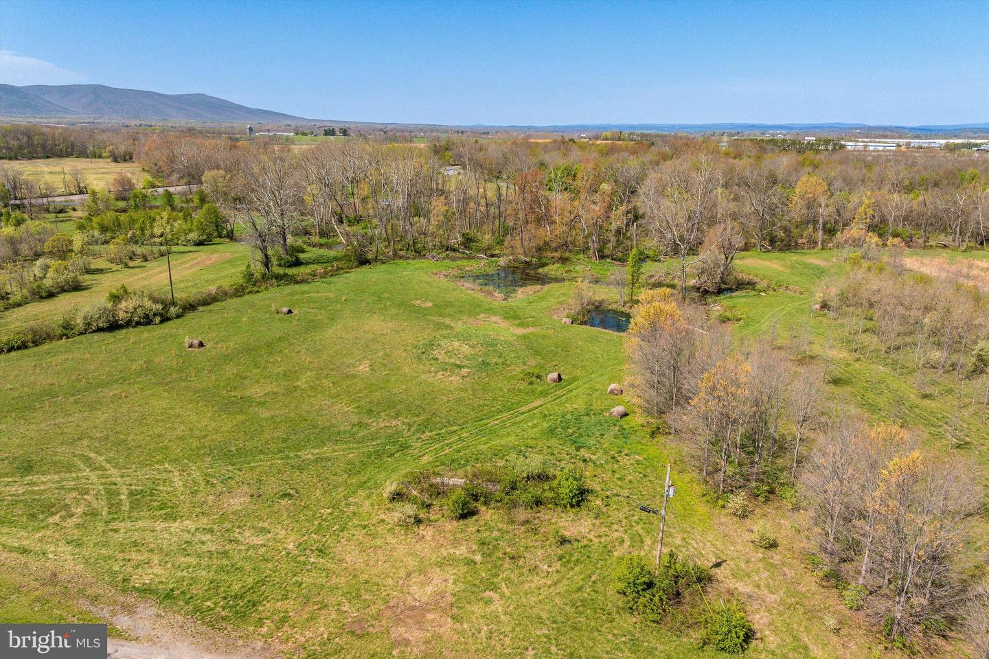 514 LIPSCOMB RD, STUARTS DRAFT, Virginia 24477, 10 Bedrooms Bedrooms, ,4 BathroomsBathrooms,Farm,For Sale,514 LIPSCOMB RD,VAAG2000588 MLS # VAAG2000588 514 LIPSCOMB RD, STUARTS DRAFT, Virginia 24477, 10 Bedrooms Bedrooms, ,4 BathroomsBathrooms,Farm,For Sale,514 LIPSCOMB RD,VAAG2000588 MLS # VAAG2000588