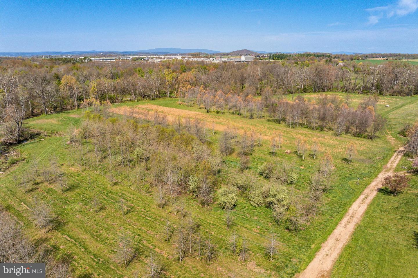 514 LIPSCOMB RD, STUARTS DRAFT, Virginia 24477, 10 Bedrooms Bedrooms, ,4 BathroomsBathrooms,Farm,For Sale,514 LIPSCOMB RD,VAAG2000588 MLS # VAAG2000588 514 LIPSCOMB RD, STUARTS DRAFT, Virginia 24477, 10 Bedrooms Bedrooms, ,4 BathroomsBathrooms,Farm,For Sale,514 LIPSCOMB RD,VAAG2000588 MLS # VAAG2000588