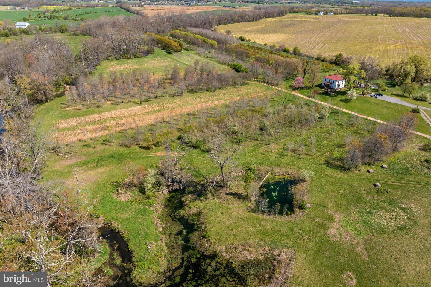 514 LIPSCOMB RD, STUARTS DRAFT, Virginia 24477, 10 Bedrooms Bedrooms, ,4 BathroomsBathrooms,Farm,For Sale,514 LIPSCOMB RD,VAAG2000588 MLS # VAAG2000588 514 LIPSCOMB RD, STUARTS DRAFT, Virginia 24477, 10 Bedrooms Bedrooms, ,4 BathroomsBathrooms,Farm,For Sale,514 LIPSCOMB RD,VAAG2000588 MLS # VAAG2000588