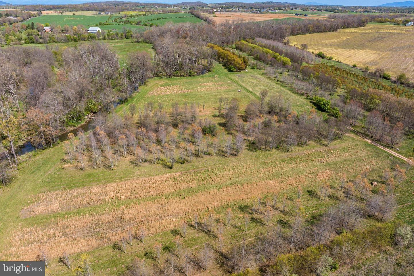 514 LIPSCOMB RD, STUARTS DRAFT, Virginia 24477, 10 Bedrooms Bedrooms, ,4 BathroomsBathrooms,Farm,For Sale,514 LIPSCOMB RD,VAAG2000588 MLS # VAAG2000588 514 LIPSCOMB RD, STUARTS DRAFT, Virginia 24477, 10 Bedrooms Bedrooms, ,4 BathroomsBathrooms,Farm,For Sale,514 LIPSCOMB RD,VAAG2000588 MLS # VAAG2000588