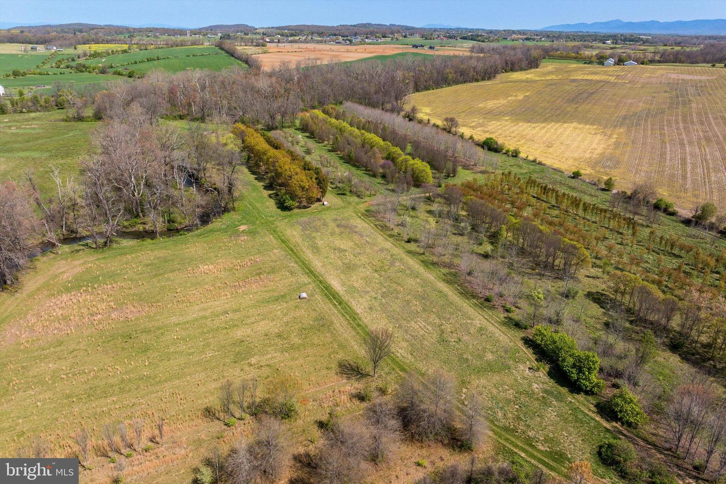 514 LIPSCOMB RD, STUARTS DRAFT, Virginia 24477, 10 Bedrooms Bedrooms, ,4 BathroomsBathrooms,Farm,For Sale,514 LIPSCOMB RD,VAAG2000588 MLS # VAAG2000588 514 LIPSCOMB RD, STUARTS DRAFT, Virginia 24477, 10 Bedrooms Bedrooms, ,4 BathroomsBathrooms,Farm,For Sale,514 LIPSCOMB RD,VAAG2000588 MLS # VAAG2000588