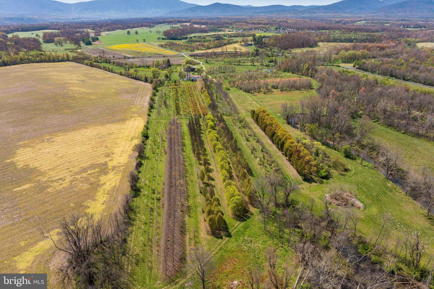 514 LIPSCOMB RD, STUARTS DRAFT, Virginia 24477, 10 Bedrooms Bedrooms, ,4 BathroomsBathrooms,Farm,For Sale,514 LIPSCOMB RD,VAAG2000588 MLS # VAAG2000588 514 LIPSCOMB RD, STUARTS DRAFT, Virginia 24477, 10 Bedrooms Bedrooms, ,4 BathroomsBathrooms,Farm,For Sale,514 LIPSCOMB RD,VAAG2000588 MLS # VAAG2000588