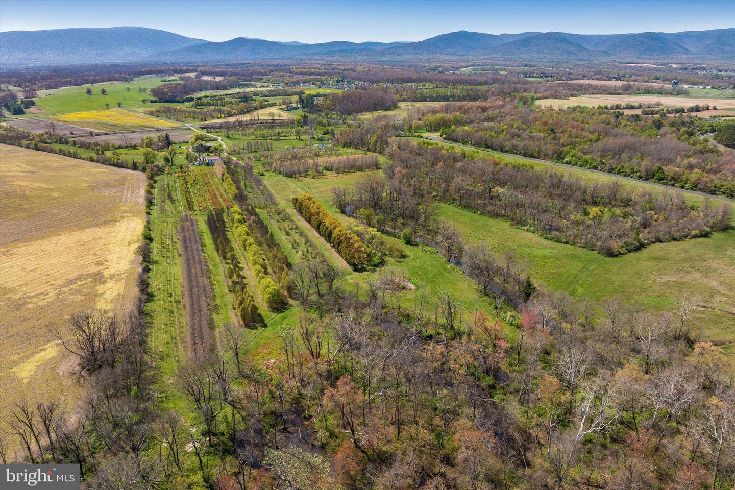514 LIPSCOMB RD, STUARTS DRAFT, Virginia 24477, 10 Bedrooms Bedrooms, ,4 BathroomsBathrooms,Farm,For Sale,514 LIPSCOMB RD,VAAG2000588 MLS # VAAG2000588 514 LIPSCOMB RD, STUARTS DRAFT, Virginia 24477, 10 Bedrooms Bedrooms, ,4 BathroomsBathrooms,Farm,For Sale,514 LIPSCOMB RD,VAAG2000588 MLS # VAAG2000588