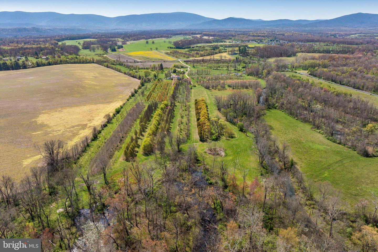 514 LIPSCOMB RD, STUARTS DRAFT, Virginia 24477, 10 Bedrooms Bedrooms, ,4 BathroomsBathrooms,Farm,For Sale,514 LIPSCOMB RD,VAAG2000588 MLS # VAAG2000588 514 LIPSCOMB RD, STUARTS DRAFT, Virginia 24477, 10 Bedrooms Bedrooms, ,4 BathroomsBathrooms,Farm,For Sale,514 LIPSCOMB RD,VAAG2000588 MLS # VAAG2000588