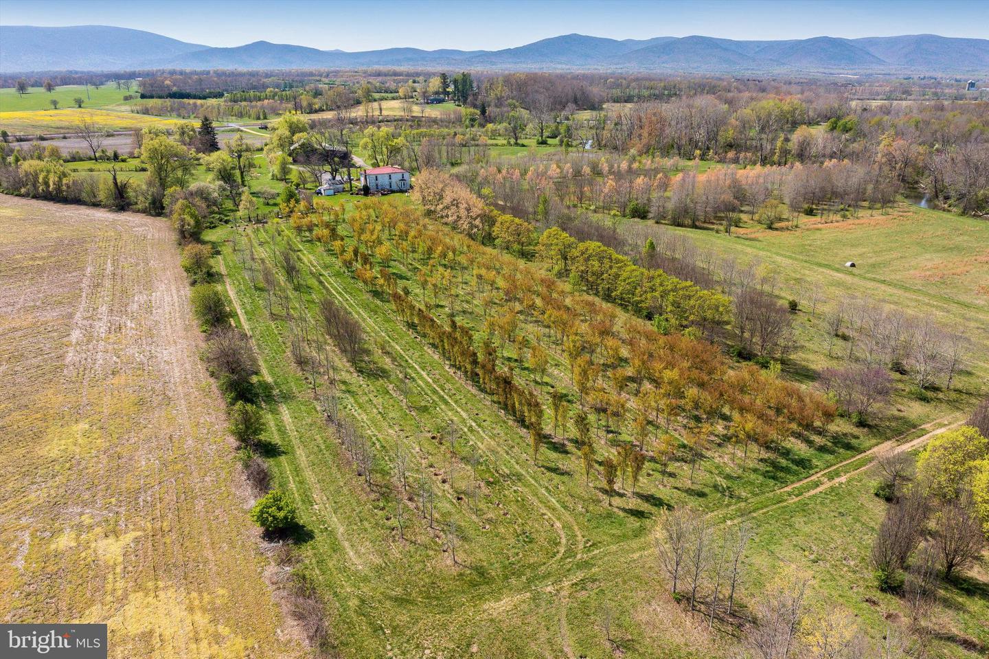 514 LIPSCOMB RD, STUARTS DRAFT, Virginia 24477, 10 Bedrooms Bedrooms, ,4 BathroomsBathrooms,Farm,For Sale,514 LIPSCOMB RD,VAAG2000588 MLS # VAAG2000588 514 LIPSCOMB RD, STUARTS DRAFT, Virginia 24477, 10 Bedrooms Bedrooms, ,4 BathroomsBathrooms,Farm,For Sale,514 LIPSCOMB RD,VAAG2000588 MLS # VAAG2000588