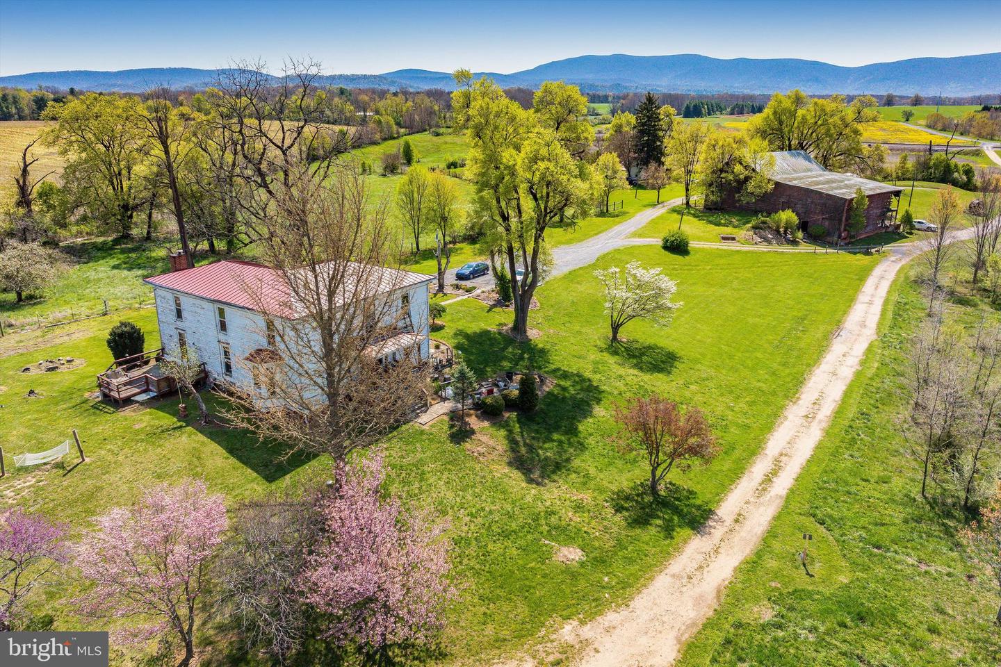 514 LIPSCOMB RD, STUARTS DRAFT, Virginia 24477, 10 Bedrooms Bedrooms, ,4 BathroomsBathrooms,Farm,For Sale,514 LIPSCOMB RD,VAAG2000588 MLS # VAAG2000588 514 LIPSCOMB RD, STUARTS DRAFT, Virginia 24477, 10 Bedrooms Bedrooms, ,4 BathroomsBathrooms,Farm,For Sale,514 LIPSCOMB RD,VAAG2000588 MLS # VAAG2000588