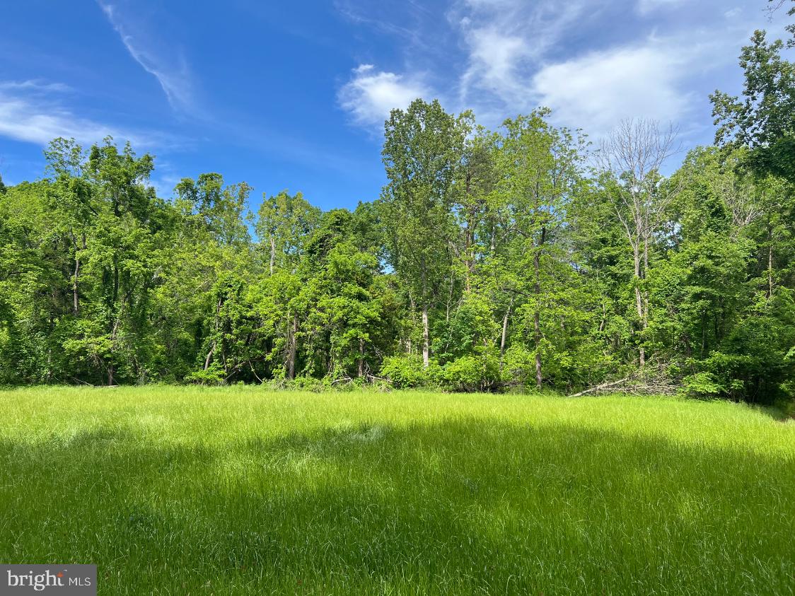STONY POINT PASS, KESWICK, Virginia 22947, ,Farm,For Sale,STONY POINT PASS,VAAB2000922 MLS # VAAB2000922 STONY POINT PASS, KESWICK, Virginia 22947, ,Farm,For Sale,STONY POINT PASS,VAAB2000922 MLS # VAAB2000922