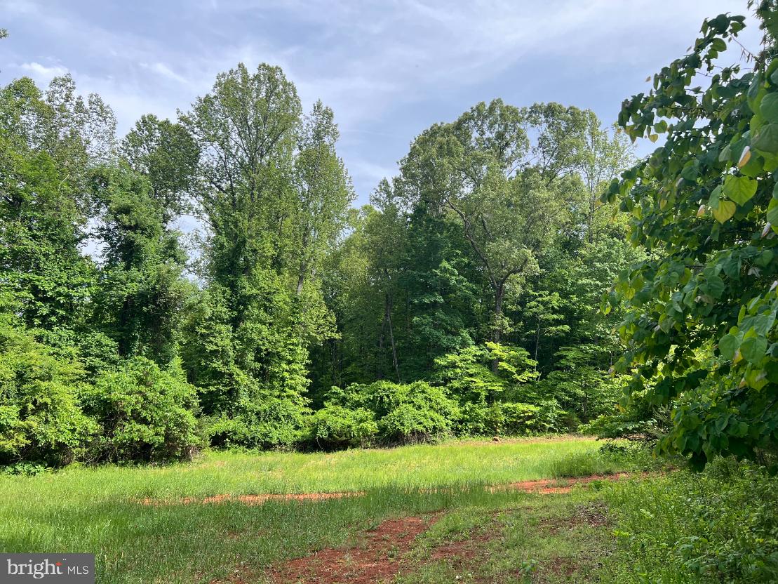 STONY POINT PASS, KESWICK, Virginia 22947, ,Farm,For Sale,STONY POINT PASS,VAAB2000922 MLS # VAAB2000922 STONY POINT PASS, KESWICK, Virginia 22947, ,Farm,For Sale,STONY POINT PASS,VAAB2000922 MLS # VAAB2000922