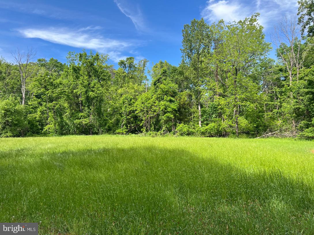 STONY POINT PASS, KESWICK, Virginia 22947, ,Farm,For Sale,STONY POINT PASS,VAAB2000922 MLS # VAAB2000922 STONY POINT PASS, KESWICK, Virginia 22947, ,Farm,For Sale,STONY POINT PASS,VAAB2000922 MLS # VAAB2000922