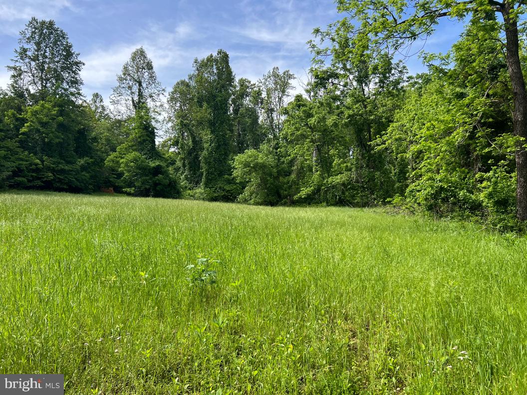 STONY POINT PASS, KESWICK, Virginia 22947, ,Farm,For Sale,STONY POINT PASS,VAAB2000922 MLS # VAAB2000922 STONY POINT PASS, KESWICK, Virginia 22947, ,Farm,For Sale,STONY POINT PASS,VAAB2000922 MLS # VAAB2000922