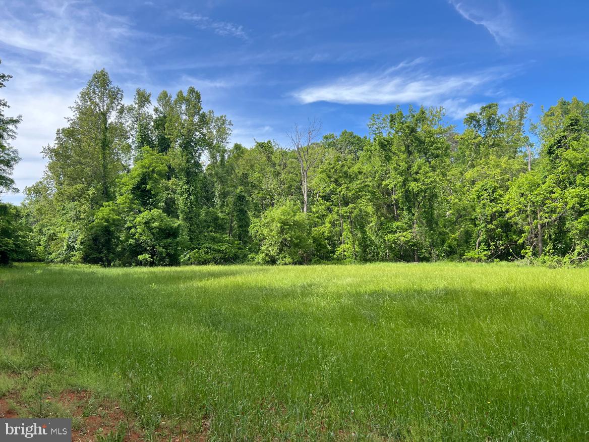 STONY POINT PASS, KESWICK, Virginia 22947, ,Farm,For Sale,STONY POINT PASS,VAAB2000922 MLS # VAAB2000922 STONY POINT PASS, KESWICK, Virginia 22947, ,Farm,For Sale,STONY POINT PASS,VAAB2000922 MLS # VAAB2000922