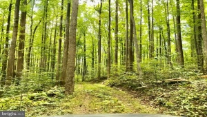 STONY POINT PASS KESWICK Virginia 22947