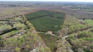 BLUEBIRD LANE BLUEBIRD LANE, CUNNINGHAM, Virginia 22963, ,Farm,For Sale,BLUEBIRD LANE BLUEBIRD LANE,VAFN2000468 MLS # VAFN2000468