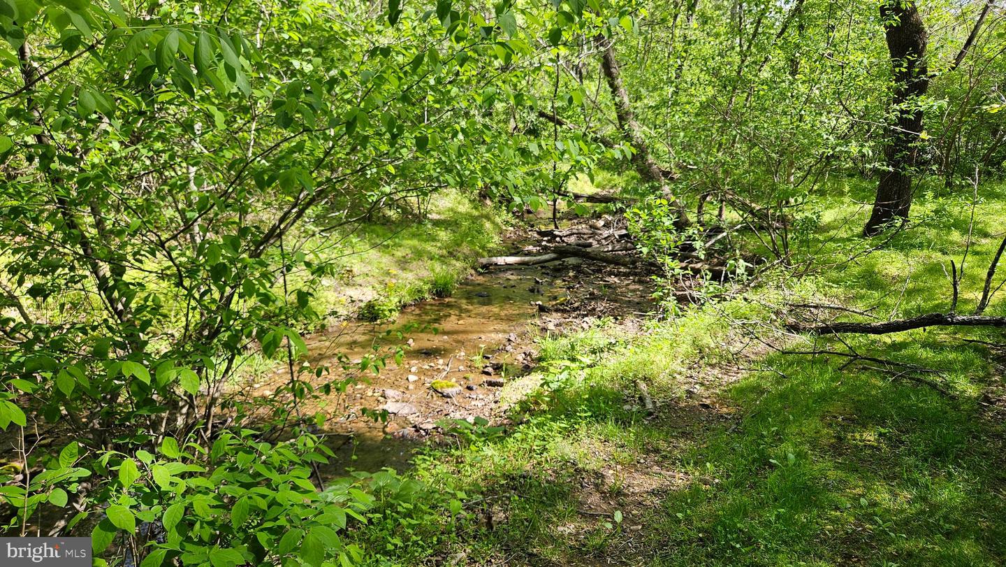 559 BESSIE BELL MOUNTAIN RD, CASTLETON, Virginia 22716, 3 Bedrooms Bedrooms, ,2 BathroomsBathrooms,Residential,For Sale,559 BESSIE BELL MOUNTAIN RD,VARP2002080 MLS # VARP2002080 559 BESSIE BELL MOUNTAIN RD, CASTLETON, Virginia 22716, 3 Bedrooms Bedrooms, ,2 BathroomsBathrooms,Residential,For Sale,559 BESSIE BELL MOUNTAIN RD,VARP2002080 MLS # VARP2002080