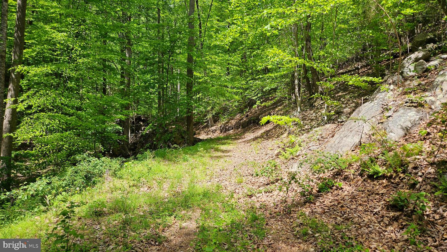 559 BESSIE BELL MOUNTAIN RD, CASTLETON, Virginia 22716, 3 Bedrooms Bedrooms, ,2 BathroomsBathrooms,Residential,For Sale,559 BESSIE BELL MOUNTAIN RD,VARP2002080 MLS # VARP2002080 559 BESSIE BELL MOUNTAIN RD, CASTLETON, Virginia 22716, 3 Bedrooms Bedrooms, ,2 BathroomsBathrooms,Residential,For Sale,559 BESSIE BELL MOUNTAIN RD,VARP2002080 MLS # VARP2002080