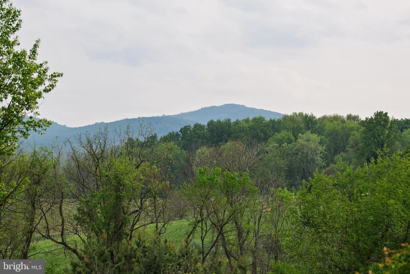 38793 CHELTEN LN, MIDDLEBURG, Virginia 20117, 5 Bedrooms Bedrooms, ,8 BathroomsBathrooms,Residential,For Sale,38793 CHELTEN LN,VALO2094274 MLS # VALO2094274 38793 CHELTEN LN, MIDDLEBURG, Virginia 20117, 5 Bedrooms Bedrooms, ,8 BathroomsBathrooms,Residential,For Sale,38793 CHELTEN LN,VALO2094274 MLS # VALO2094274