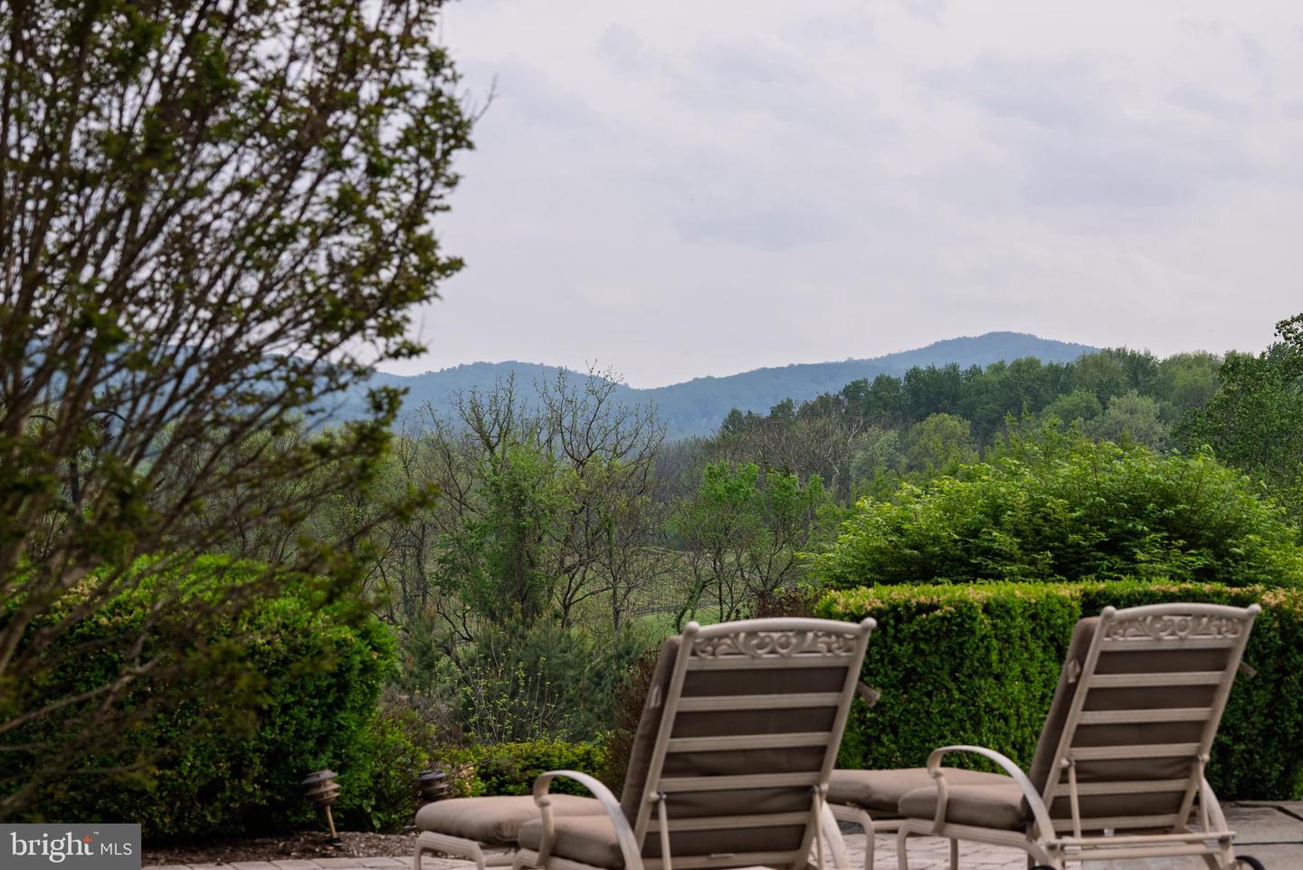 38793 CHELTEN LN, MIDDLEBURG, Virginia 20117, 5 Bedrooms Bedrooms, ,8 BathroomsBathrooms,Residential,For Sale,38793 CHELTEN LN,VALO2094274 MLS # VALO2094274 38793 CHELTEN LN, MIDDLEBURG, Virginia 20117, 5 Bedrooms Bedrooms, ,8 BathroomsBathrooms,Residential,For Sale,38793 CHELTEN LN,VALO2094274 MLS # VALO2094274