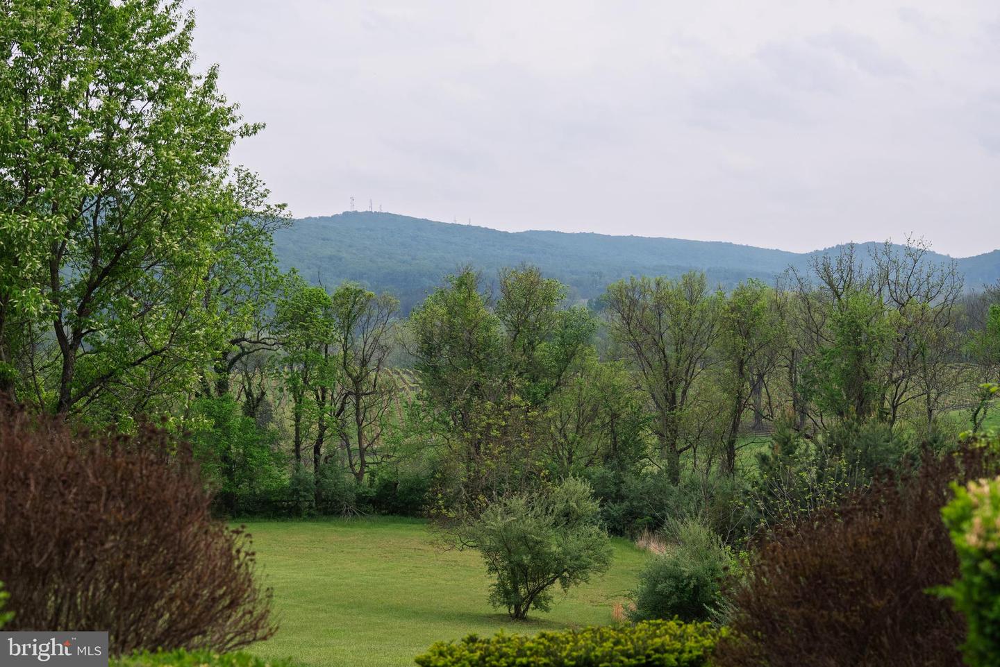 38793 CHELTEN LN, MIDDLEBURG, Virginia 20117, 5 Bedrooms Bedrooms, ,8 BathroomsBathrooms,Residential,For Sale,38793 CHELTEN LN,VALO2094274 MLS # VALO2094274 38793 CHELTEN LN, MIDDLEBURG, Virginia 20117, 5 Bedrooms Bedrooms, ,8 BathroomsBathrooms,Residential,For Sale,38793 CHELTEN LN,VALO2094274 MLS # VALO2094274