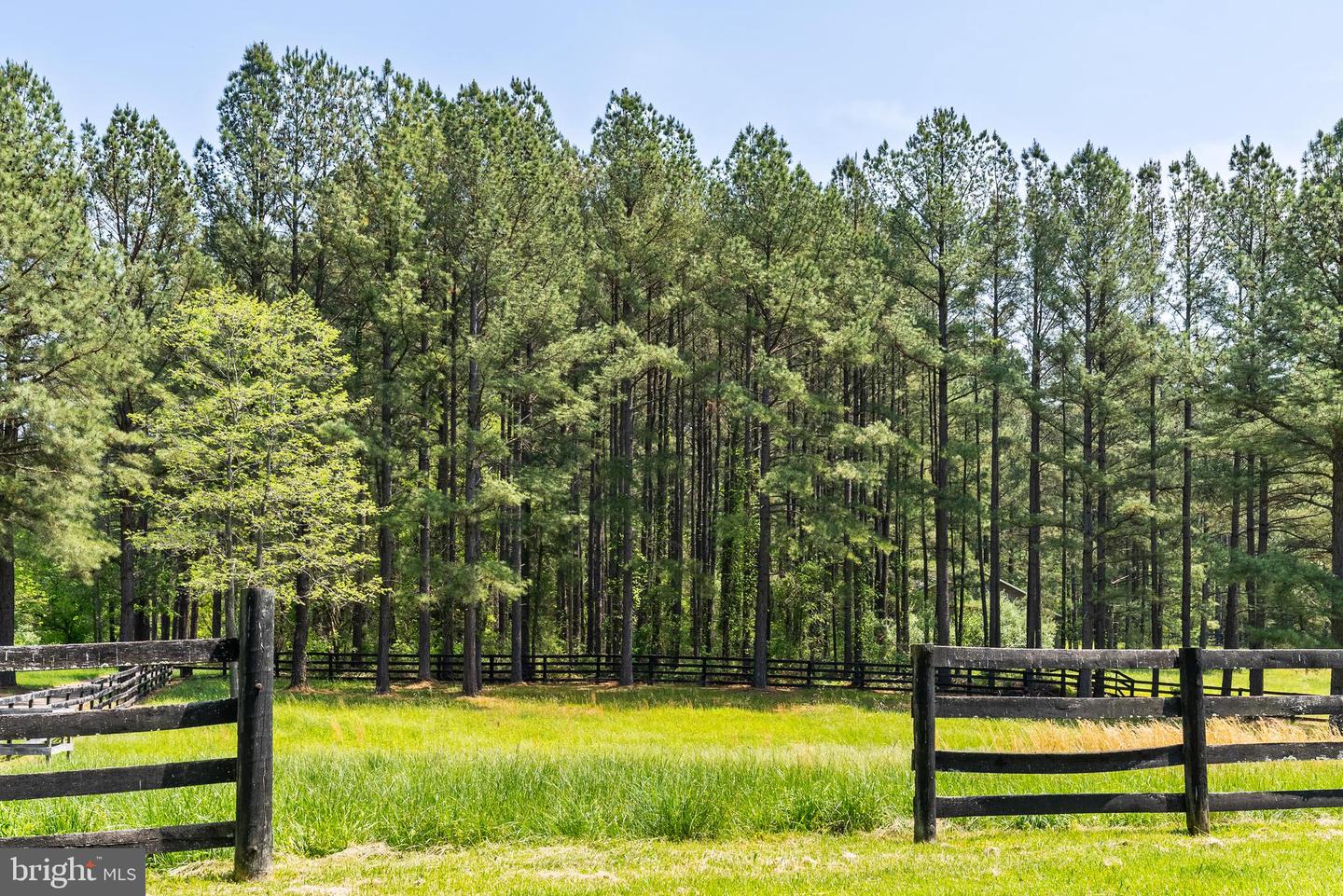 38793 CHELTEN LN, MIDDLEBURG, Virginia 20117, 5 Bedrooms Bedrooms, ,8 BathroomsBathrooms,Residential,For Sale,38793 CHELTEN LN,VALO2094274 MLS # VALO2094274 38793 CHELTEN LN, MIDDLEBURG, Virginia 20117, 5 Bedrooms Bedrooms, ,8 BathroomsBathrooms,Residential,For Sale,38793 CHELTEN LN,VALO2094274 MLS # VALO2094274