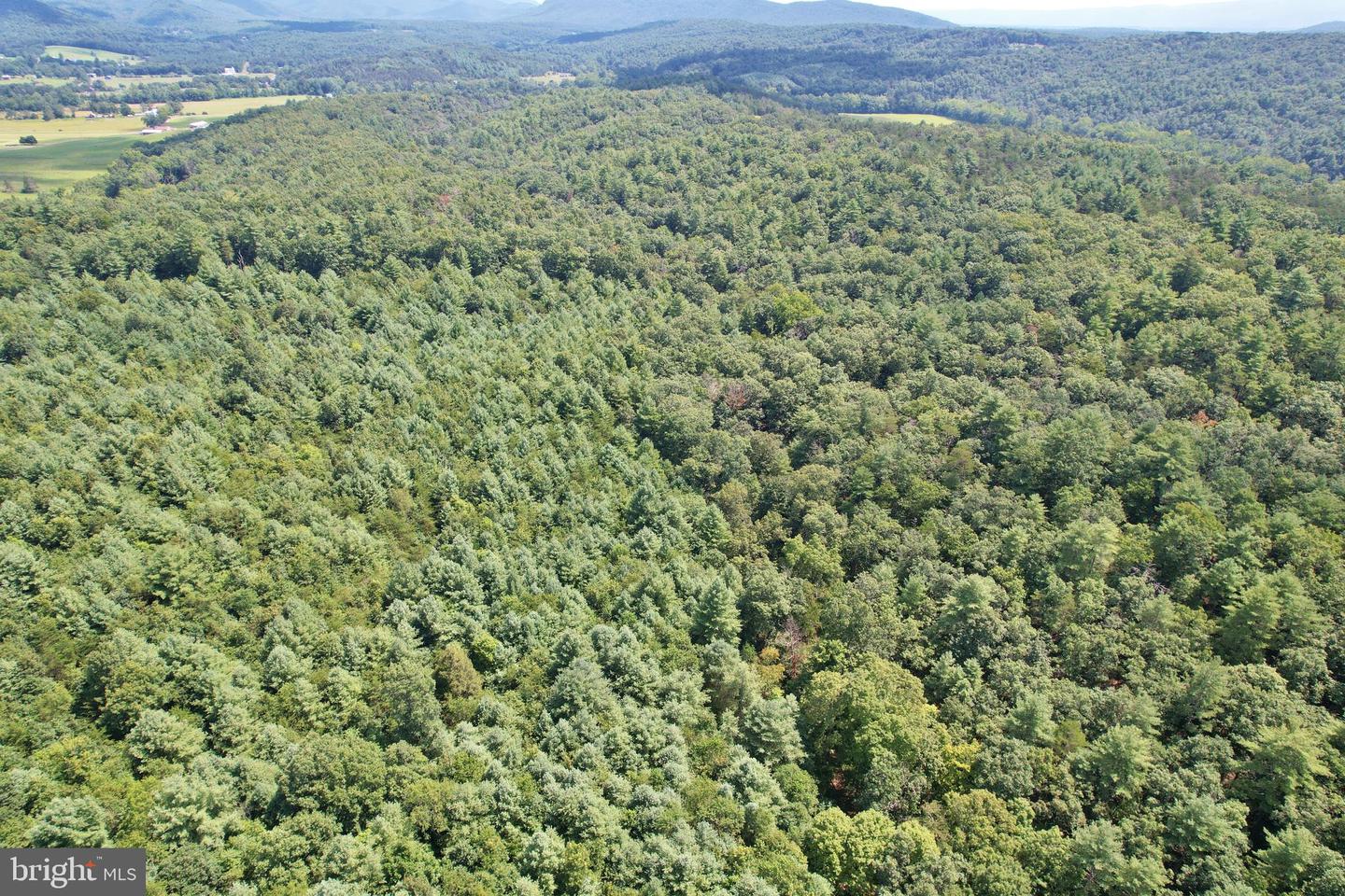 ALUM SPRINGS RD, EDINBURG, Virginia 22824, ,Land,For Sale,ALUM SPRINGS RD,VASH2011454 MLS # VASH2011454