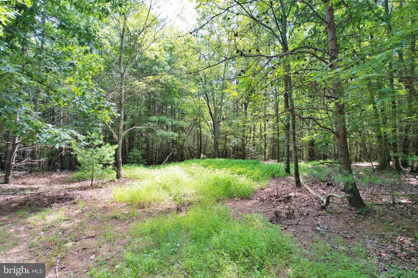 ALUM SPRINGS RD, EDINBURG, Virginia 22824, ,Land,For Sale,ALUM SPRINGS RD,VASH2011454 MLS # VASH2011454