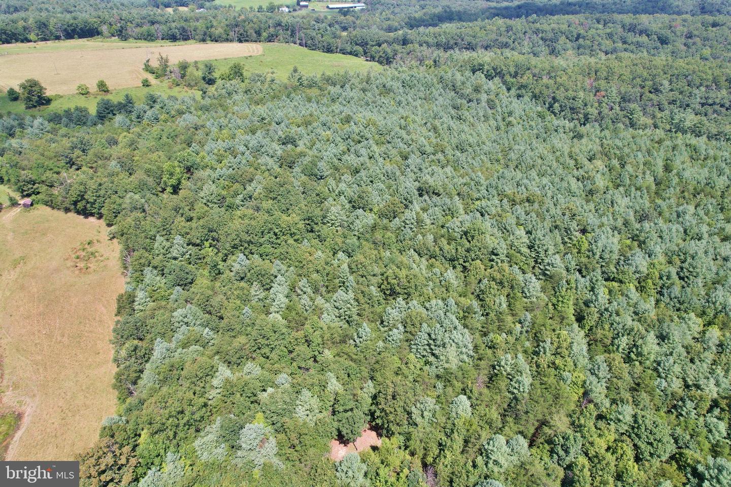 ALUM SPRINGS RD, EDINBURG, Virginia 22824, ,Land,For Sale,ALUM SPRINGS RD,VASH2011454 MLS # VASH2011454