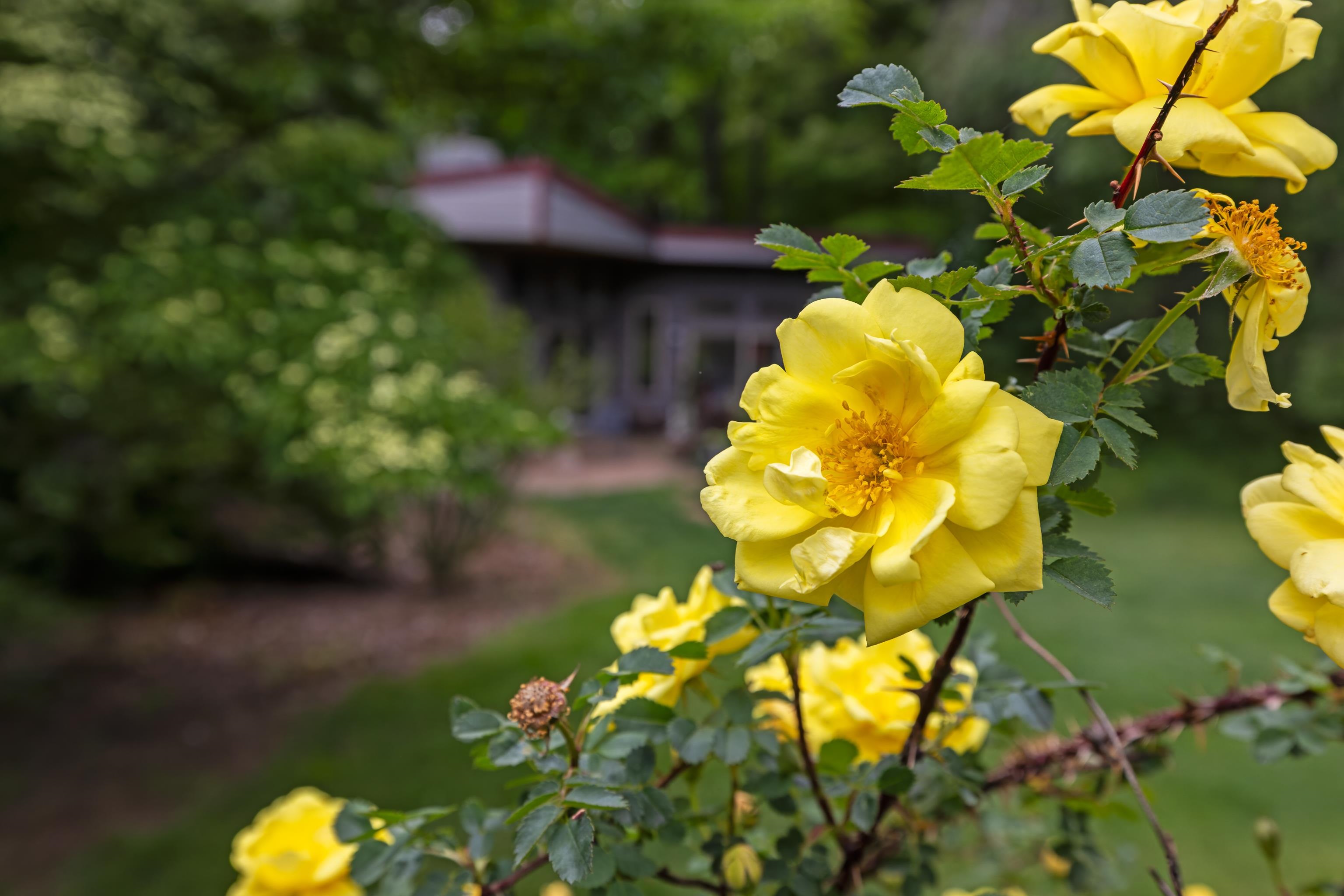 7598 N LEE HWY, RAPHINE, Virginia 24472, 2 Bedrooms Bedrooms, ,2 BathroomsBathrooms,Residential,14,7598 N LEE HWY,664489 MLS # 664489