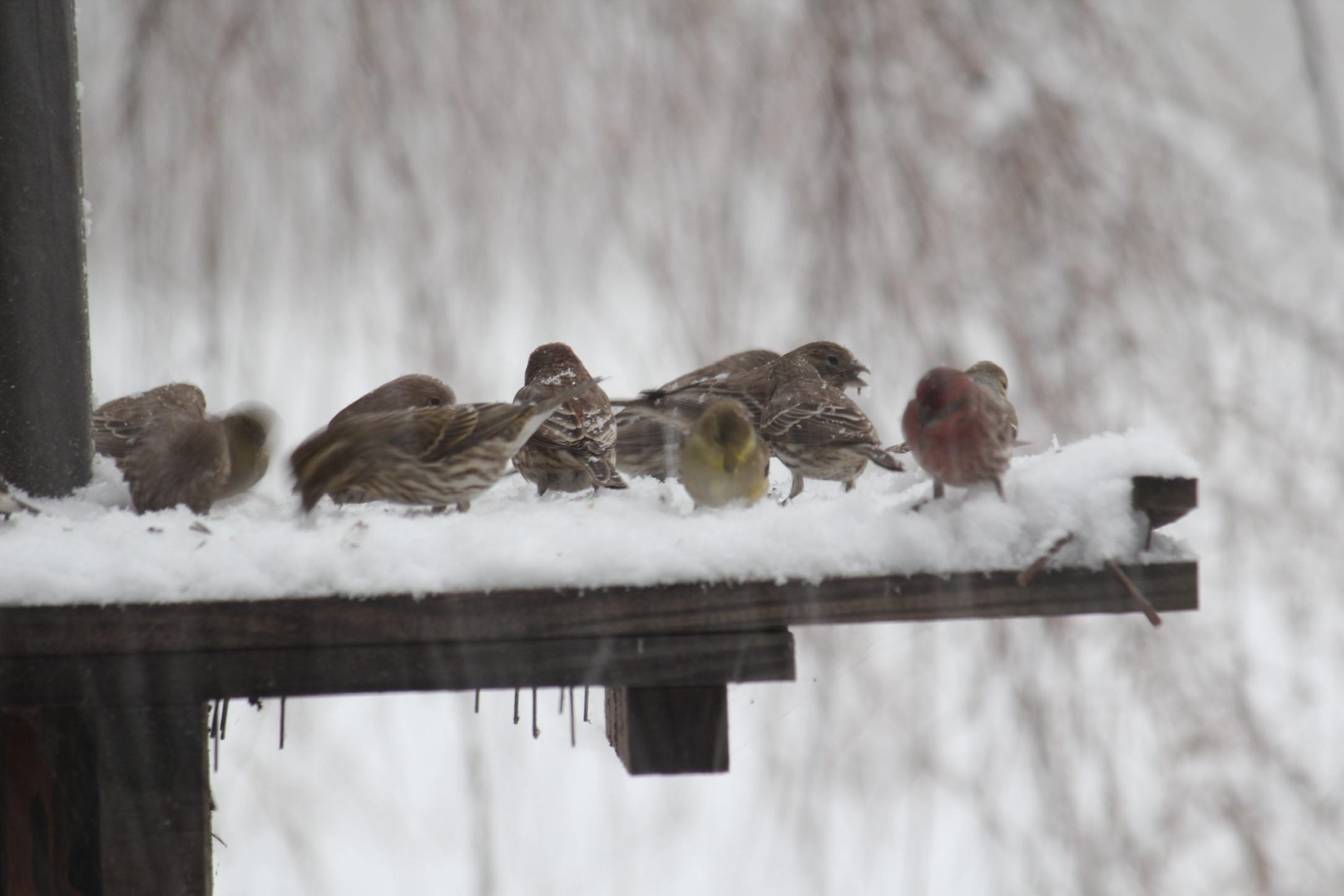 7598 N LEE HWY, RAPHINE, Virginia 24472, 2 Bedrooms Bedrooms, ,2 BathroomsBathrooms,Residential,14,7598 N LEE HWY,664489 MLS # 664489