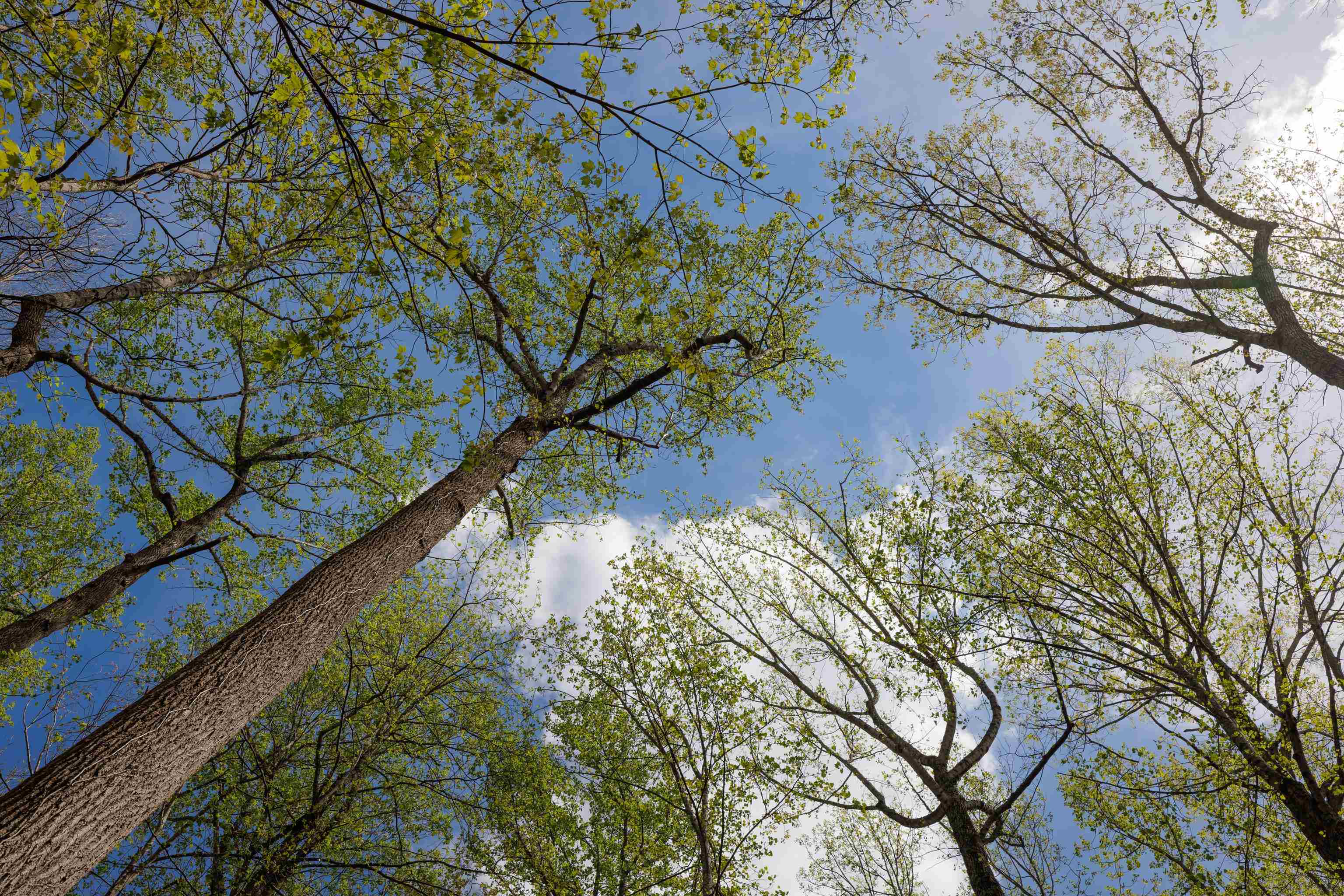 7598 N LEE HWY, RAPHINE, Virginia 24472, 2 Bedrooms Bedrooms, ,2 BathroomsBathrooms,Residential,14,7598 N LEE HWY,664489 MLS # 664489