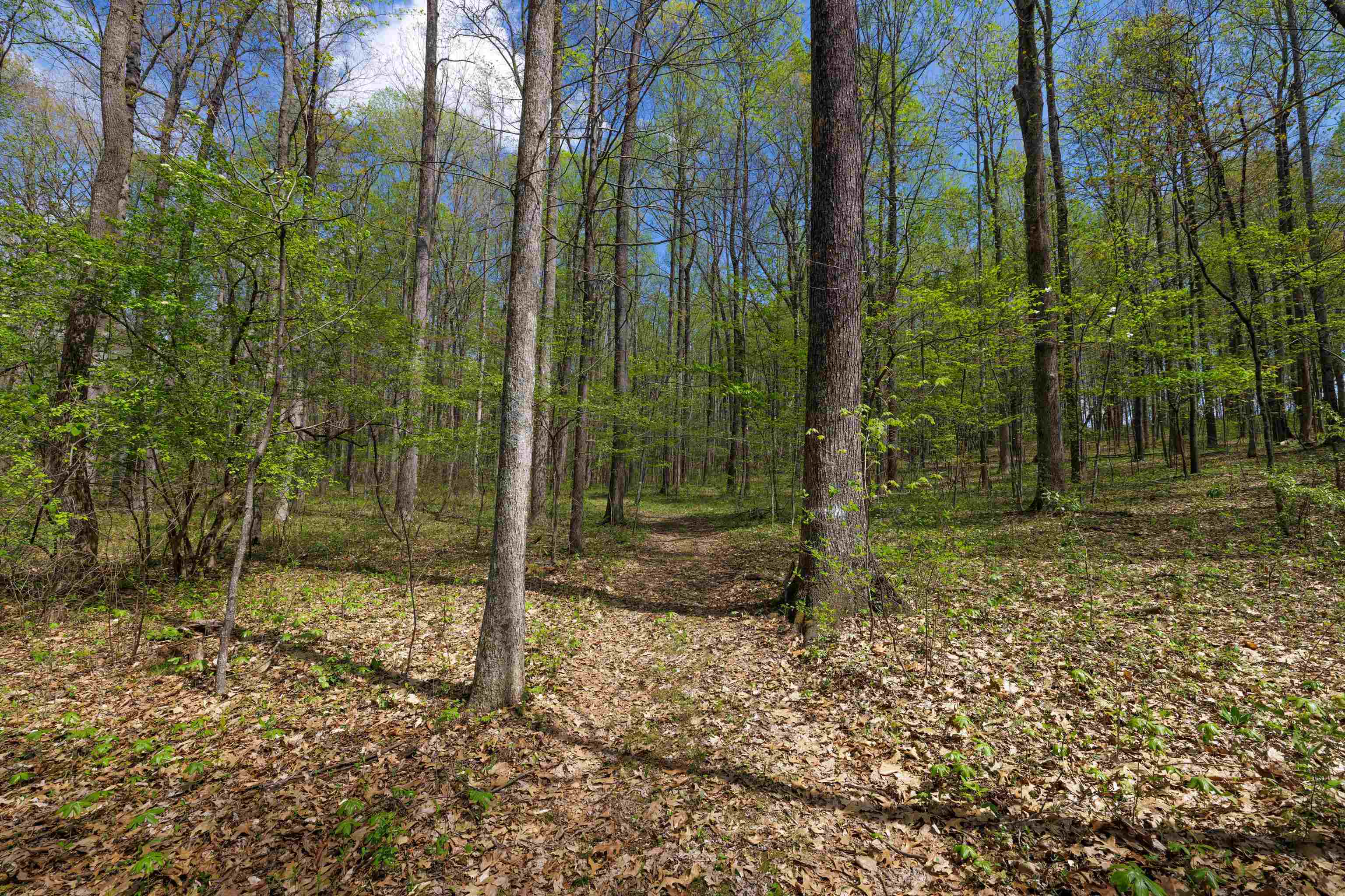 7598 N LEE HWY, RAPHINE, Virginia 24472, 2 Bedrooms Bedrooms, ,2 BathroomsBathrooms,Residential,14,7598 N LEE HWY,664489 MLS # 664489