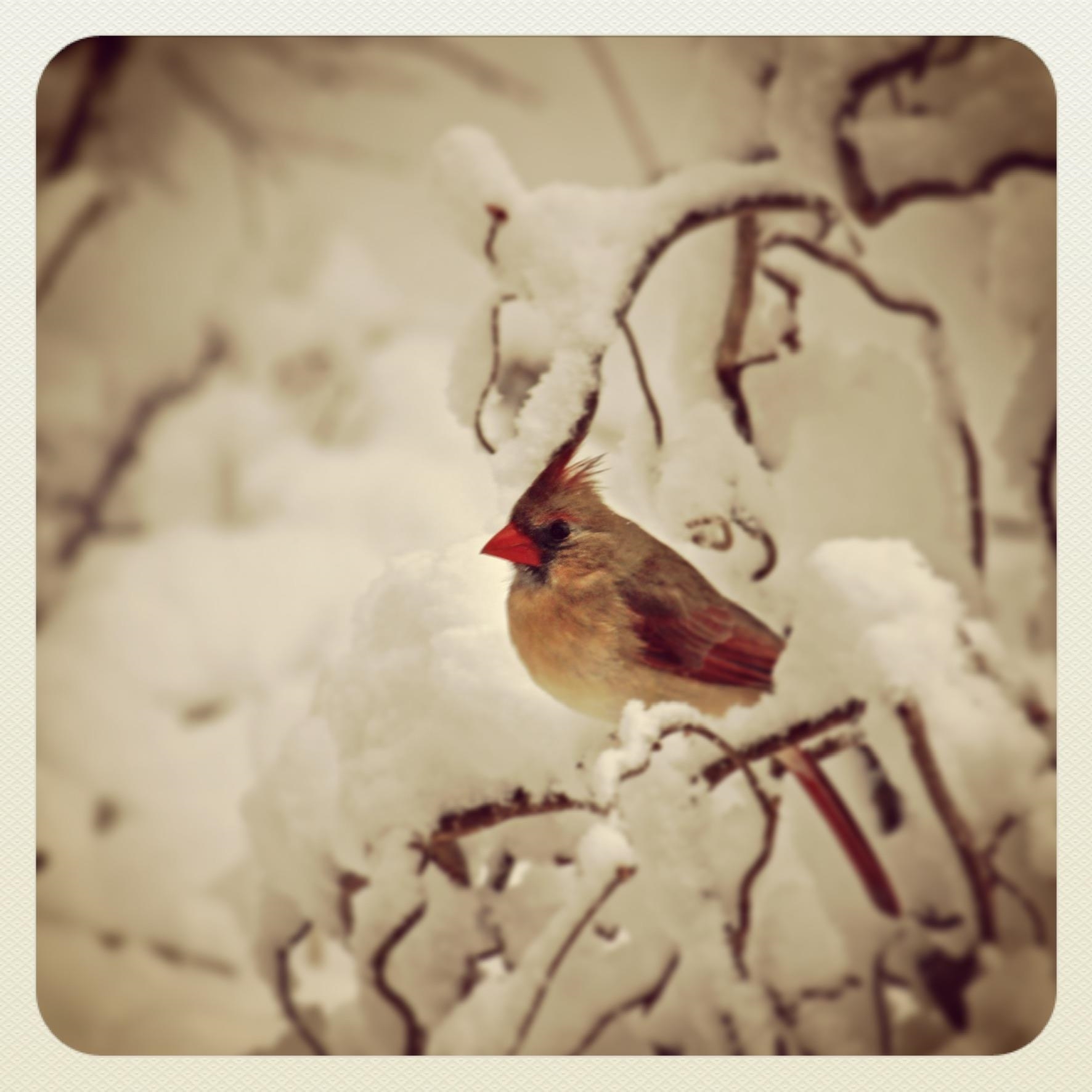 7598 N LEE HWY, RAPHINE, Virginia 24472, 2 Bedrooms Bedrooms, ,2 BathroomsBathrooms,Residential,14,7598 N LEE HWY,664489 MLS # 664489