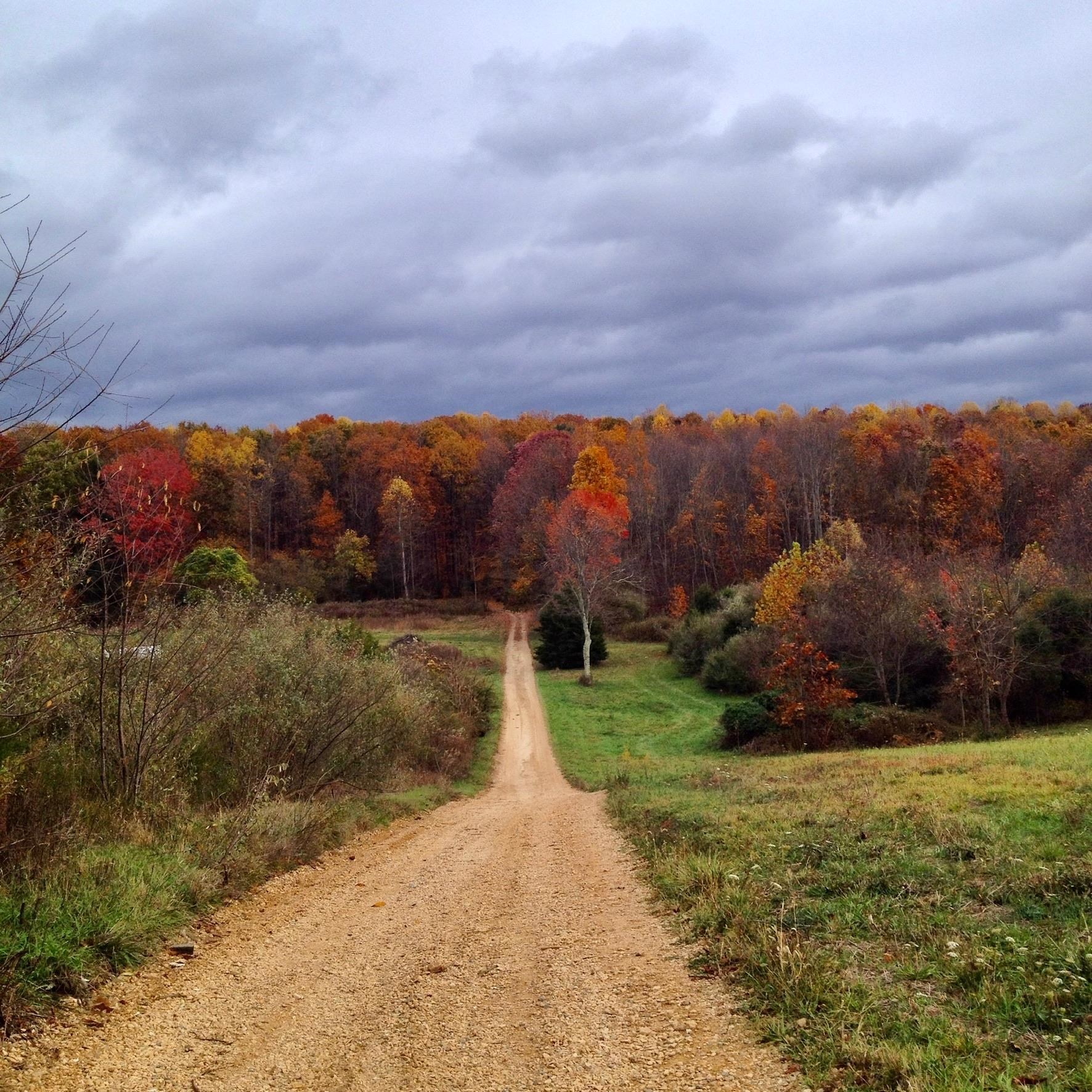 7598 N LEE HWY, RAPHINE, Virginia 24472, 2 Bedrooms Bedrooms, ,2 BathroomsBathrooms,Residential,14,7598 N LEE HWY,664489 MLS # 664489