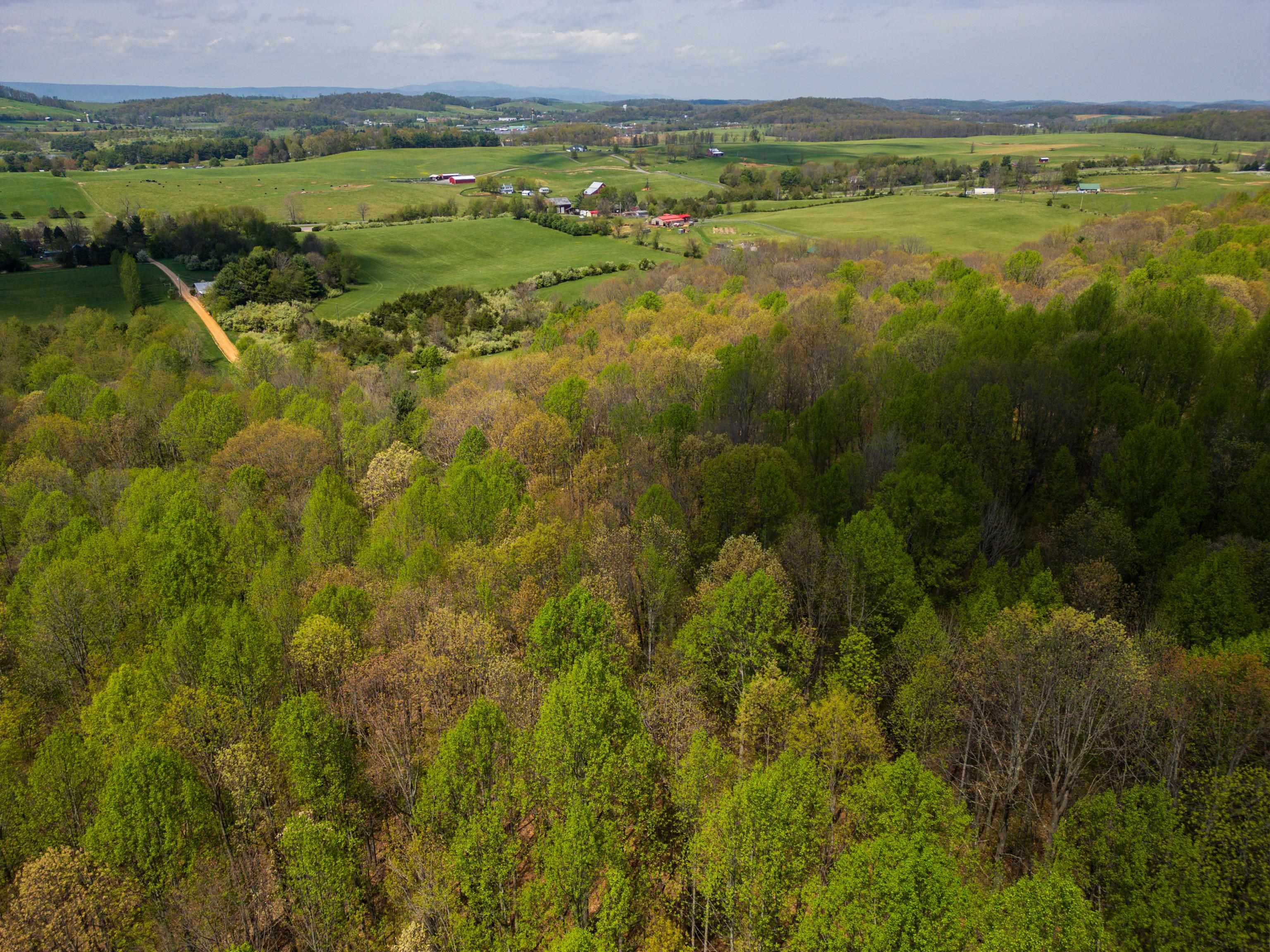 7598 N LEE HWY, RAPHINE, Virginia 24472, 2 Bedrooms Bedrooms, ,2 BathroomsBathrooms,Residential,14,7598 N LEE HWY,664489 MLS # 664489