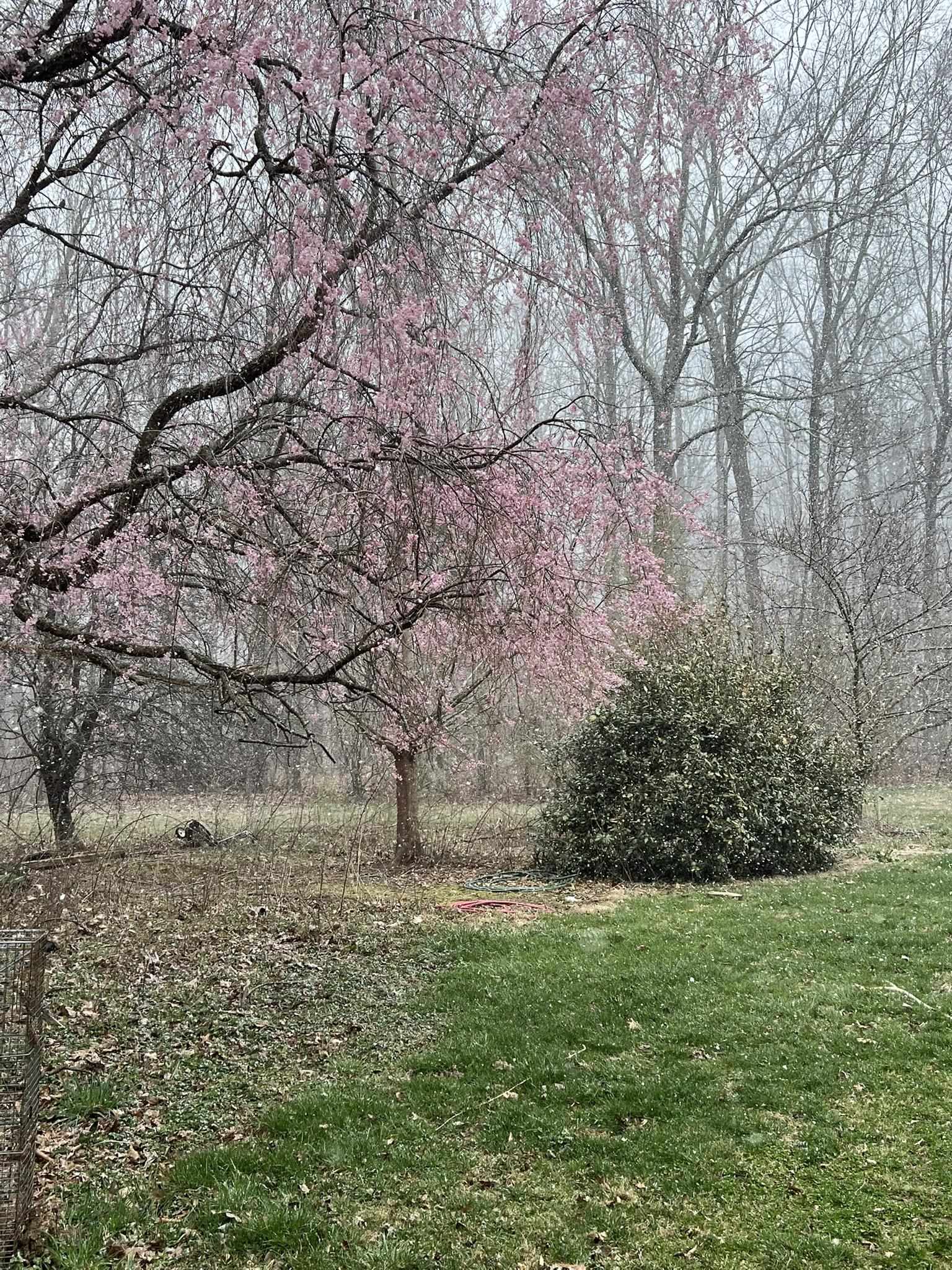 7598 N LEE HWY, RAPHINE, Virginia 24472, 2 Bedrooms Bedrooms, ,2 BathroomsBathrooms,Residential,14,7598 N LEE HWY,664489 MLS # 664489