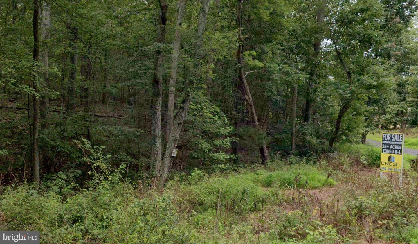 GREENWICH ROAD, NOKESVILLE, Virginia 20181, ,Land,For Sale,GREENWICH ROAD,VAFQ2001792 MLS # VAFQ2001792 GREENWICH ROAD, NOKESVILLE, Virginia 20181, ,Land,For Sale,GREENWICH ROAD,VAFQ2001792 MLS # VAFQ2001792