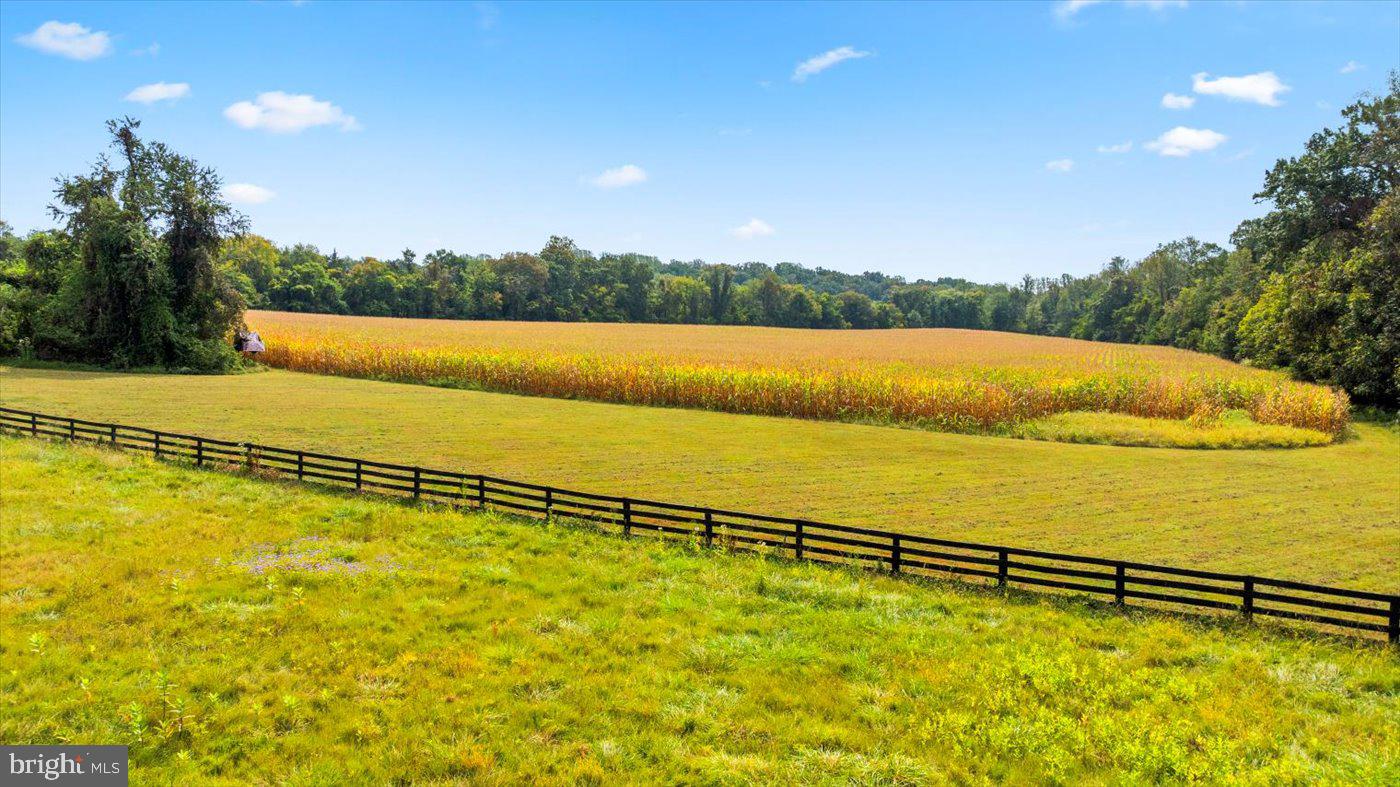 10150 HEDRICK FARM LN, MIDLAND, Virginia 22728, 7 Bedrooms Bedrooms, ,6 BathroomsBathrooms,Residential,For Sale,10150 HEDRICK FARM LN,VAFQ2016418 MLS # VAFQ2016418 10150 HEDRICK FARM LN, MIDLAND, Virginia 22728, 7 Bedrooms Bedrooms, ,6 BathroomsBathrooms,Residential,For Sale,10150 HEDRICK FARM LN,VAFQ2016418 MLS # VAFQ2016418