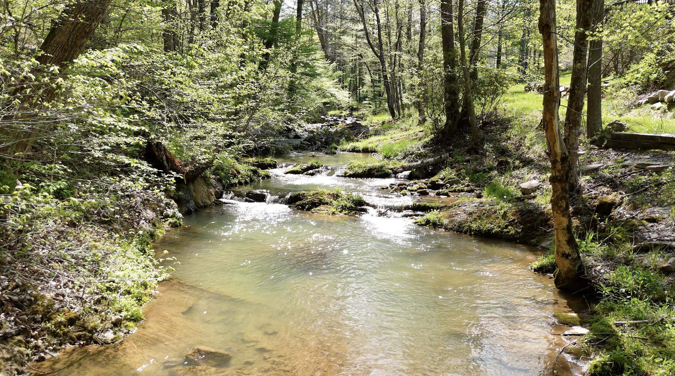 178 TRAILS END LN, WARM SPRINGS, Virginia 24484, 3 Bedrooms Bedrooms, ,2 BathroomsBathrooms,Residential,14,178 TRAILS END LN,664538 MLS # 664538