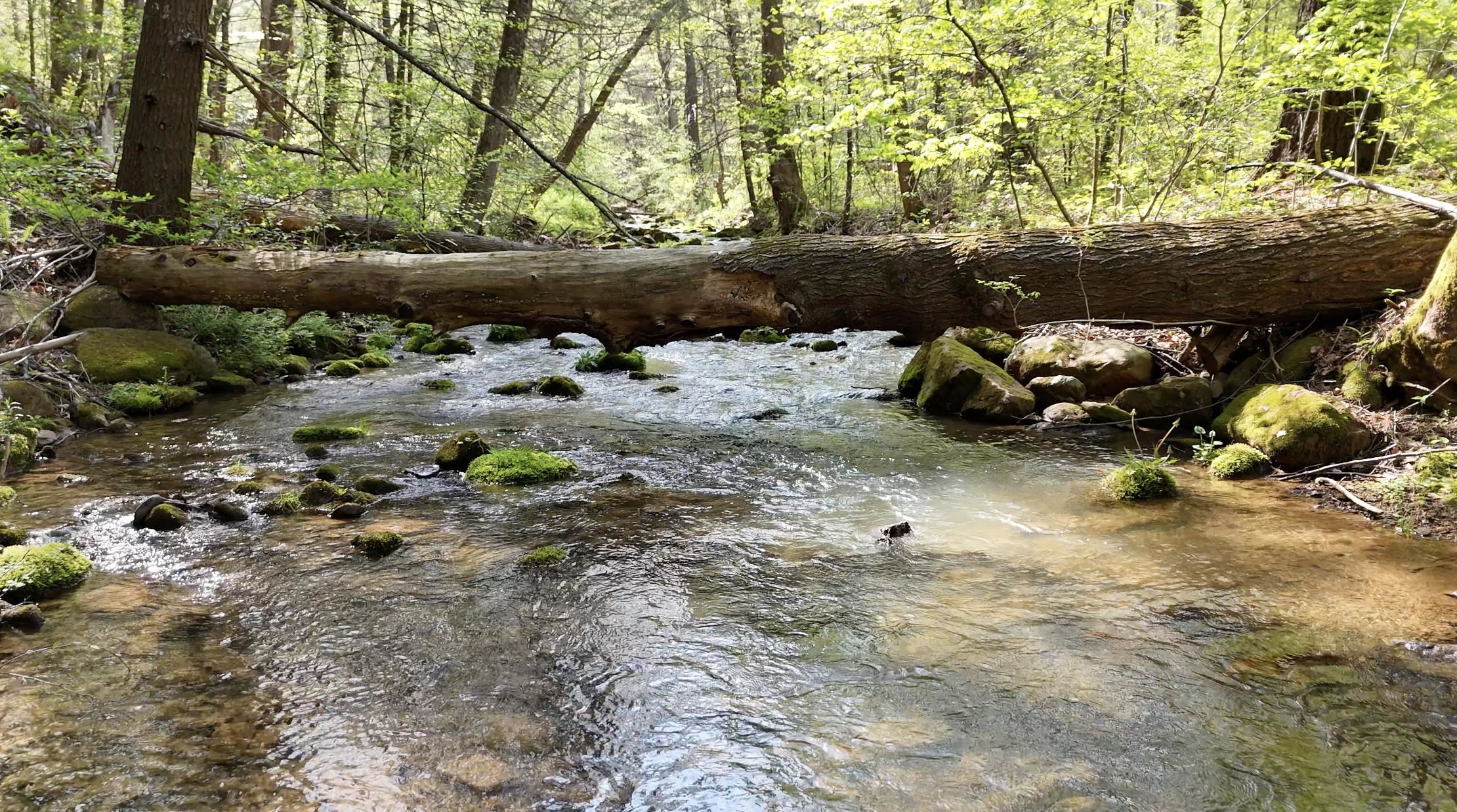 178 TRAILS END LN, WARM SPRINGS, Virginia 24484, 3 Bedrooms Bedrooms, ,2 BathroomsBathrooms,Residential,14,178 TRAILS END LN,664538 MLS # 664538