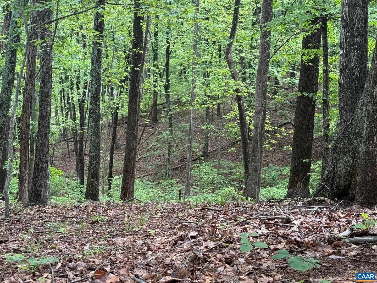 TBD RABBIT VALLEY RD, NORTH GARDEN, Virginia 22959, ,Farm,For Sale,TBD RABBIT VALLEY RD,664606 MLS # 664606