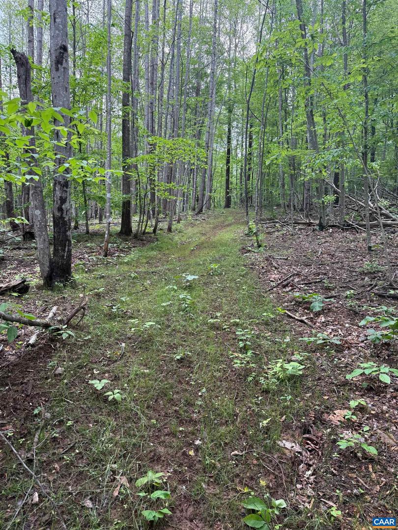 TBD RABBIT VALLEY RD, NORTH GARDEN, Virginia 22959, ,Farm,For Sale,TBD RABBIT VALLEY RD,664606 MLS # 664606