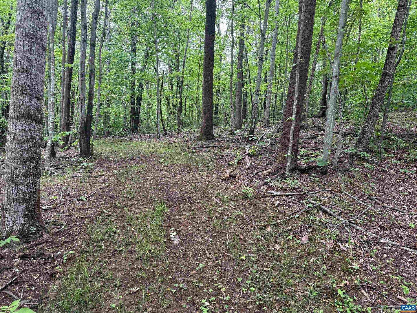 TBD RABBIT VALLEY RD, NORTH GARDEN, Virginia 22959, ,Farm,For Sale,TBD RABBIT VALLEY RD,664606 MLS # 664606