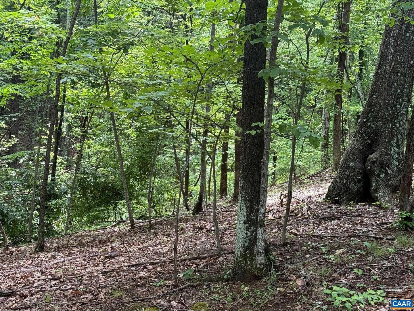 TBD RABBIT VALLEY RD, NORTH GARDEN, Virginia 22959, ,Farm,For Sale,TBD RABBIT VALLEY RD,664606 MLS # 664606