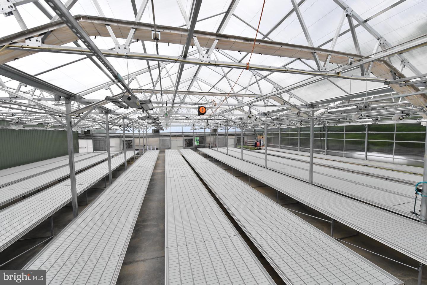 1070 WADESVILLE RD, BERRYVILLE, Virginia 22611, ,Farm,For Sale,1070 WADESVILLE RD,VACL2003758 MLS # VACL2003758 1070 WADESVILLE RD, BERRYVILLE, Virginia 22611, ,Farm,For Sale,1070 WADESVILLE RD,VACL2003758 MLS # VACL2003758