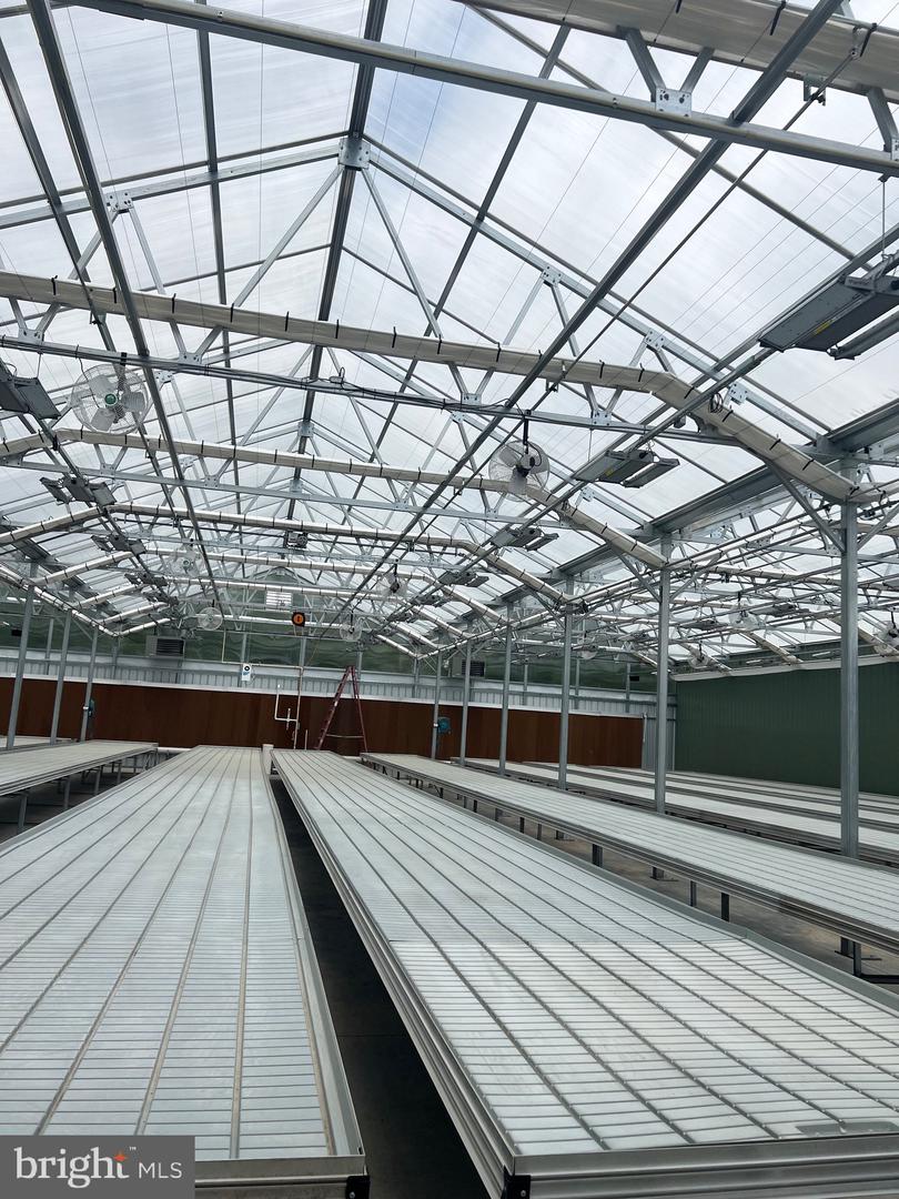 1070 WADESVILLE RD, BERRYVILLE, Virginia 22611, ,Farm,For Sale,1070 WADESVILLE RD,VACL2003758 MLS # VACL2003758 1070 WADESVILLE RD, BERRYVILLE, Virginia 22611, ,Farm,For Sale,1070 WADESVILLE RD,VACL2003758 MLS # VACL2003758